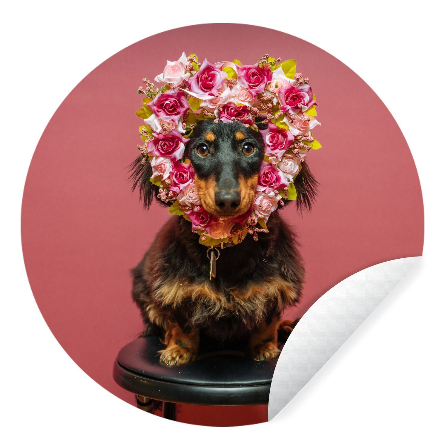 MuchoWow Wandsticker Hund - Blumen - Rosa (1 St), Tapetenkreis für Kinderzimmer, Tapetenaufkleber, Rund, Wohnzimmer