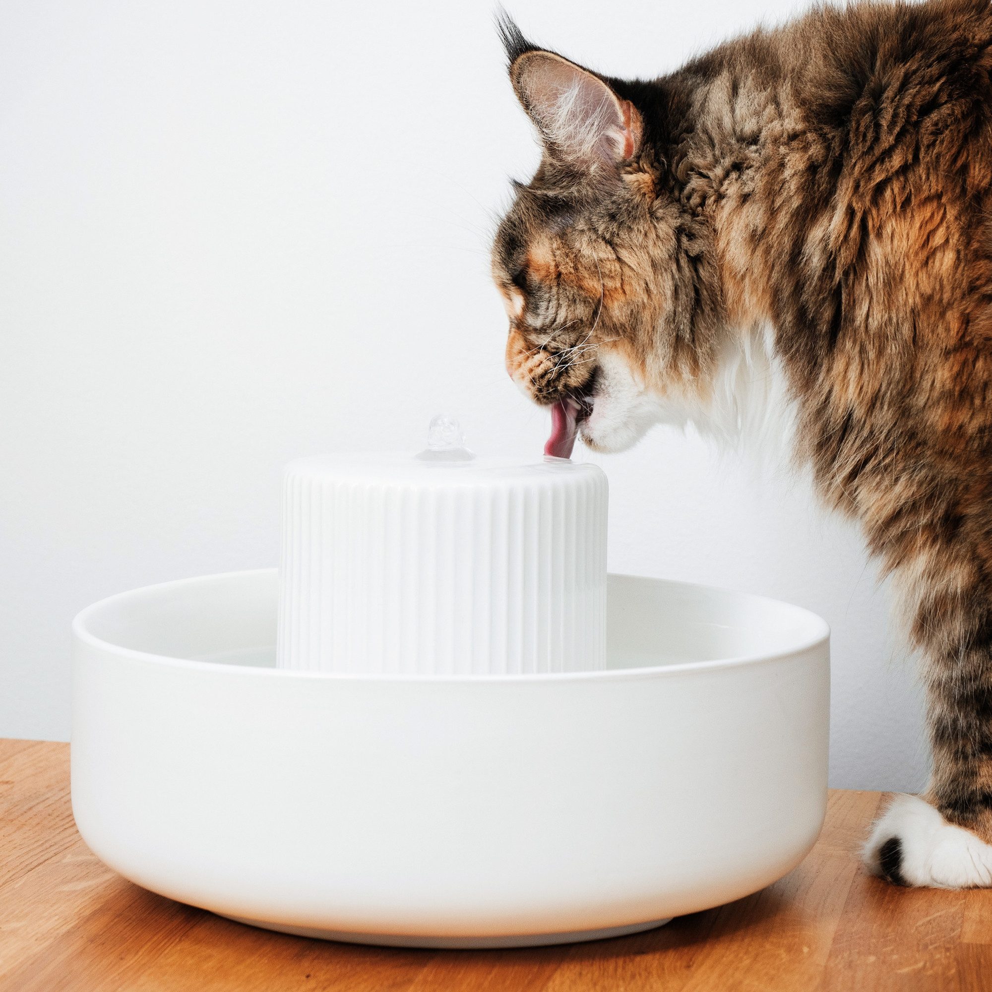 LucyBalu Trinkbrunnen TREVI Trinkbrunnen für Katzen günstig online kaufen