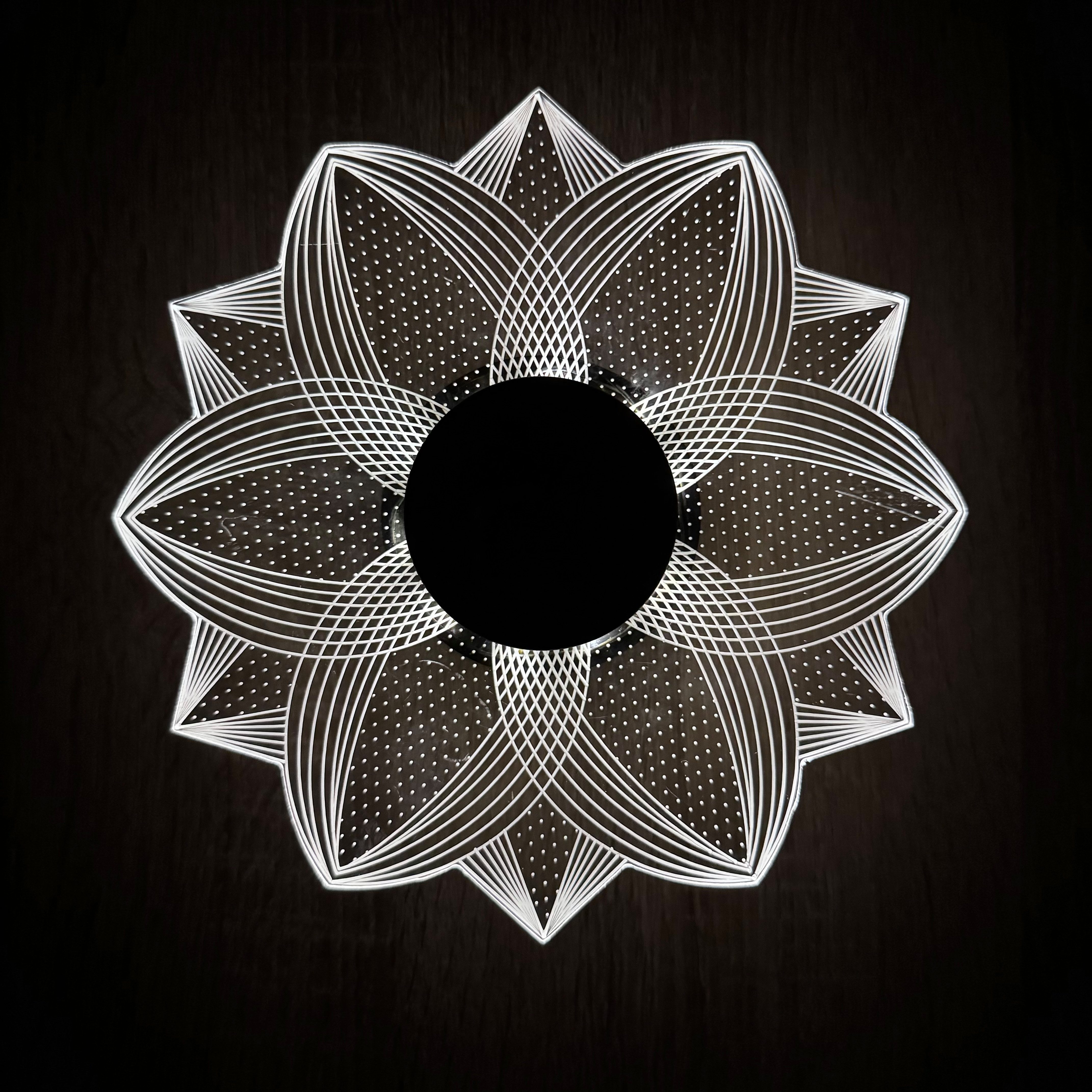 Online-Fuchs LED Solarleuchte - 2er Set Blumenblüten aus Acrylglas mit LED Beleuchtung für außen, faszinierende Lichtspiele, warmweiß oder seichter Farbwechsel  – Bild 5 von 5