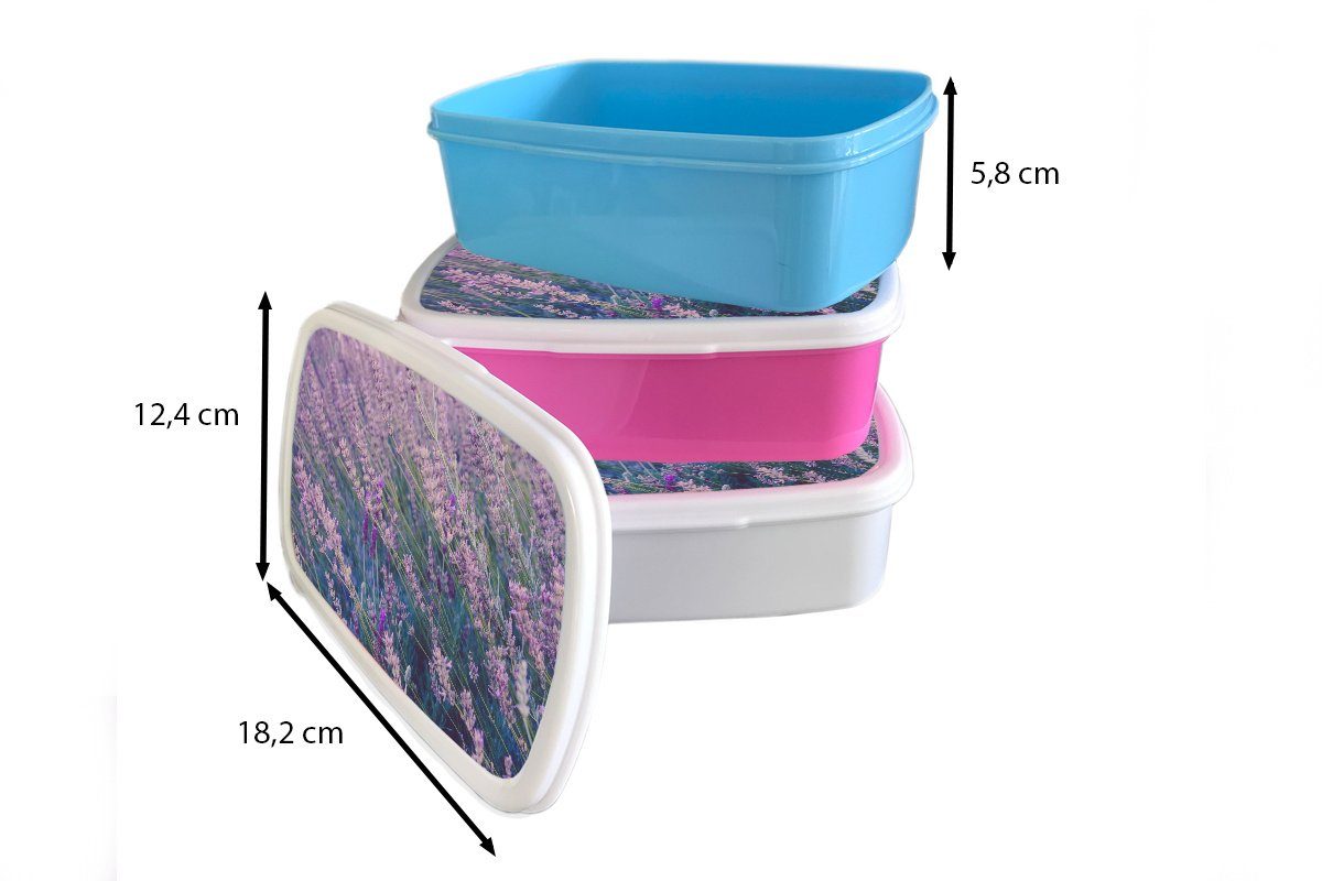 Blumen Snackbox, MuchoWow Brotbox - Kunststoff Lunchbox Brotdose Lila, rosa Erwachsene, - Kunststoff, Lavendel (2-tlg), Kinder, für Mädchen,