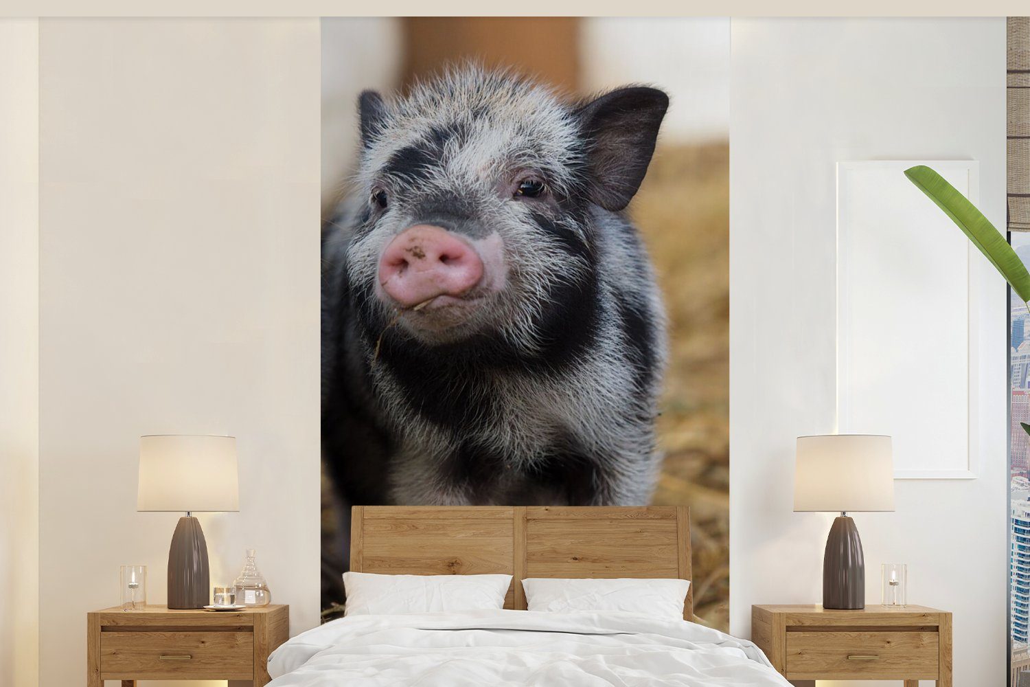 Küche, - Wohnzimmer Matt, Schlafzimmer MuchoWow bedruckt, Ferkel, Fototapete Tiere (2 - Schwein Vliestapete für St), Fototapete