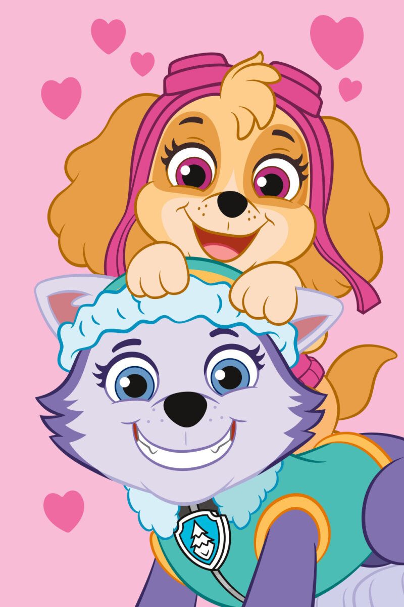 Wohndecke Paw Patrol Pink Polar Fleece günstig online kaufen