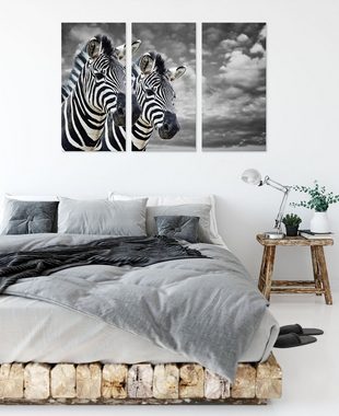 Pixxprint Leinwandbild zwei Zebras, zwei Zebras 3Teiler (120x80cm) (1 St), Leinwandbild fertig bespannt, inkl. Zackenaufhänger