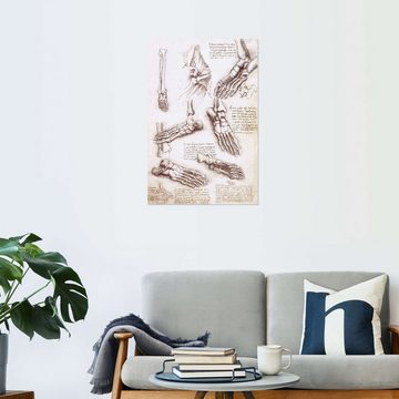 Posterlounge Wandfolie Leonardo da Vinci, Fußanatomie, Illustration