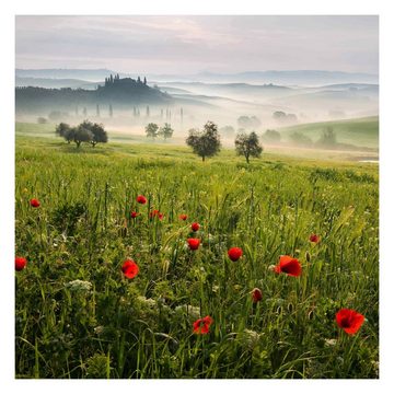 Bilderdepot24 Fototapete Mohnblumen Toskana Wiese Nebel Floral Blumen Natur Wanddeko Grün, Glatt, Matt, (Vliestapete inkl. Kleister oder selbstklebend), Wohnzimmer Schlafzimmer Küche Flur Motivtapete Vliestapete Wandtapete