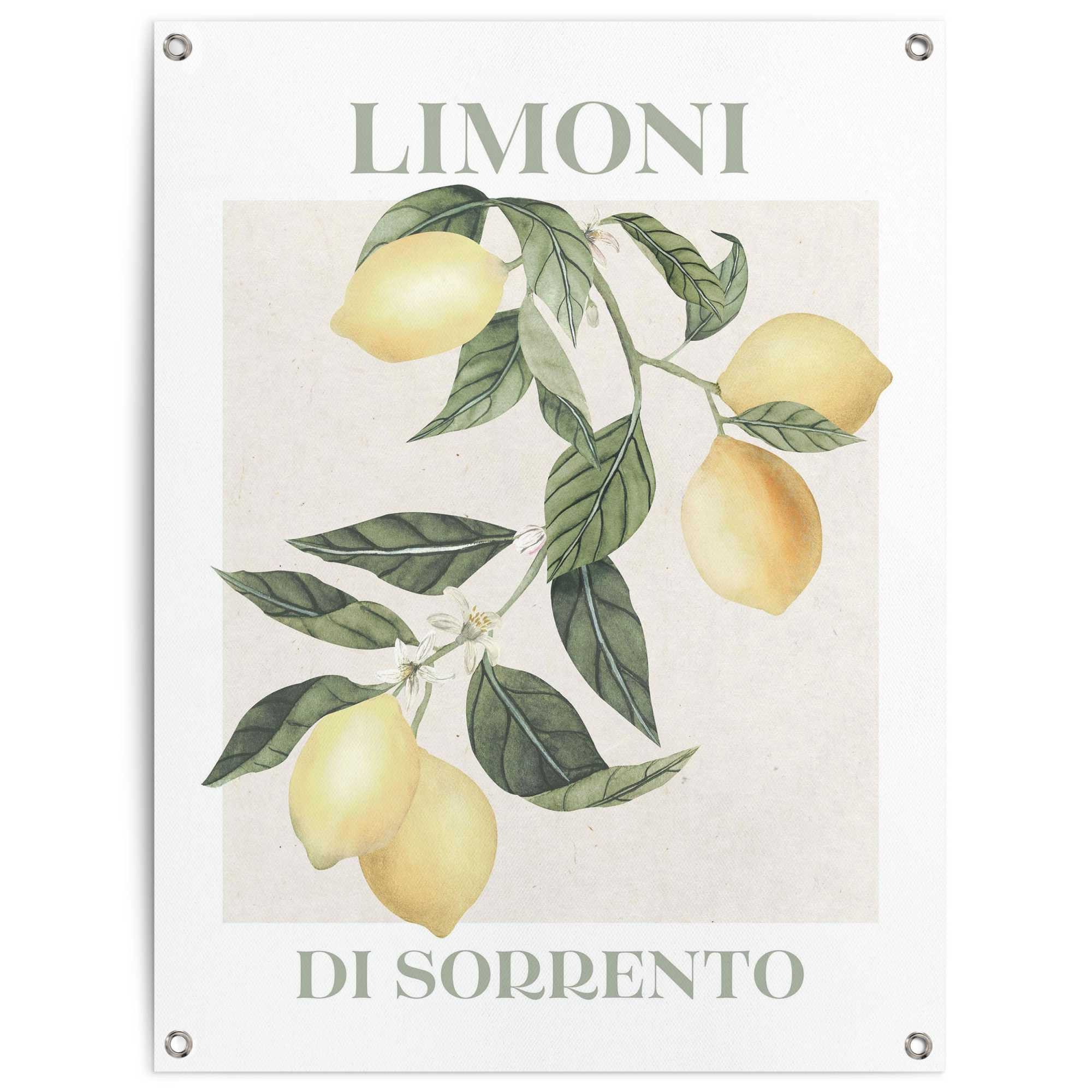 Reinders! Poster Limoni