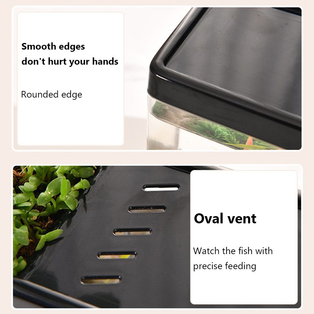 GarveeMore Aquariumunterschrank Kleines Fischbecken Aquarium Tank mit Belüftungsloch oben ÖffnungDesig Glatte Ränder Transparentes Aquarium Sukkulente Landschaftsbau Blument