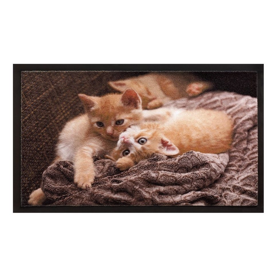 Fußmatte Fußmatte 40x60 cm Image Cats, HTI-Living, rechteckig