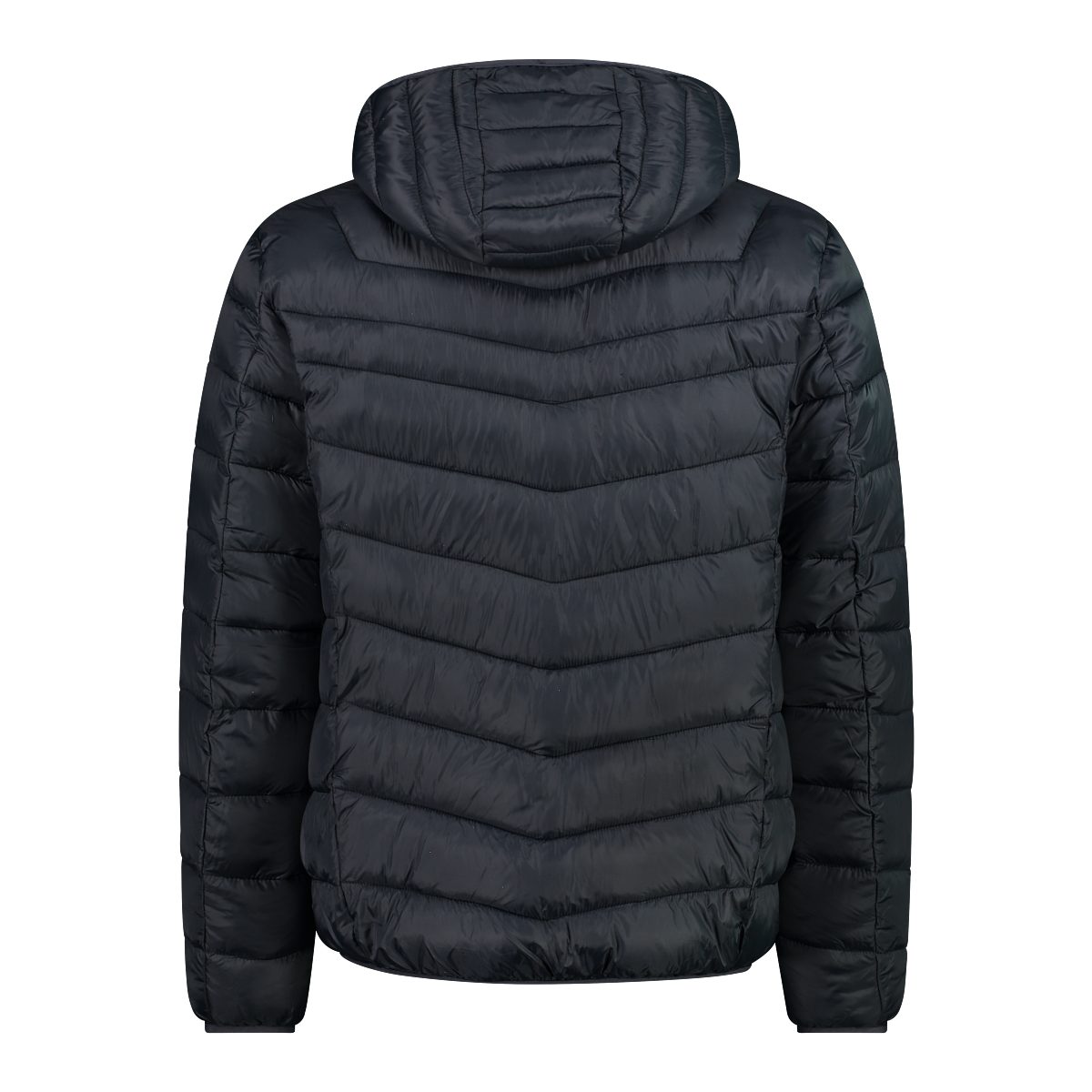 SNAPS antracite MAN Steppjacke HOOD JACKET CMP