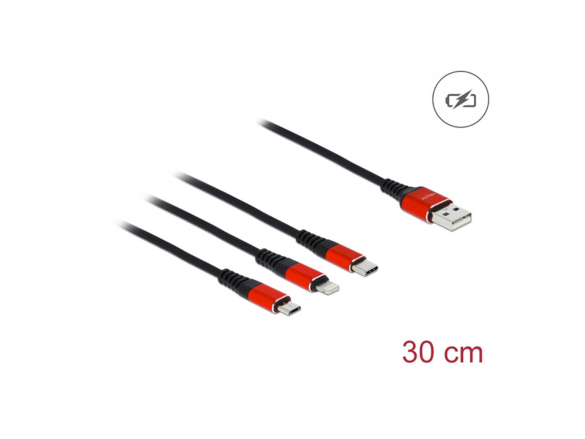 Delock Delock Travel Kit II Easy Edition - USB Hub u. Card Reade/Ladekabel Computer-Adapter