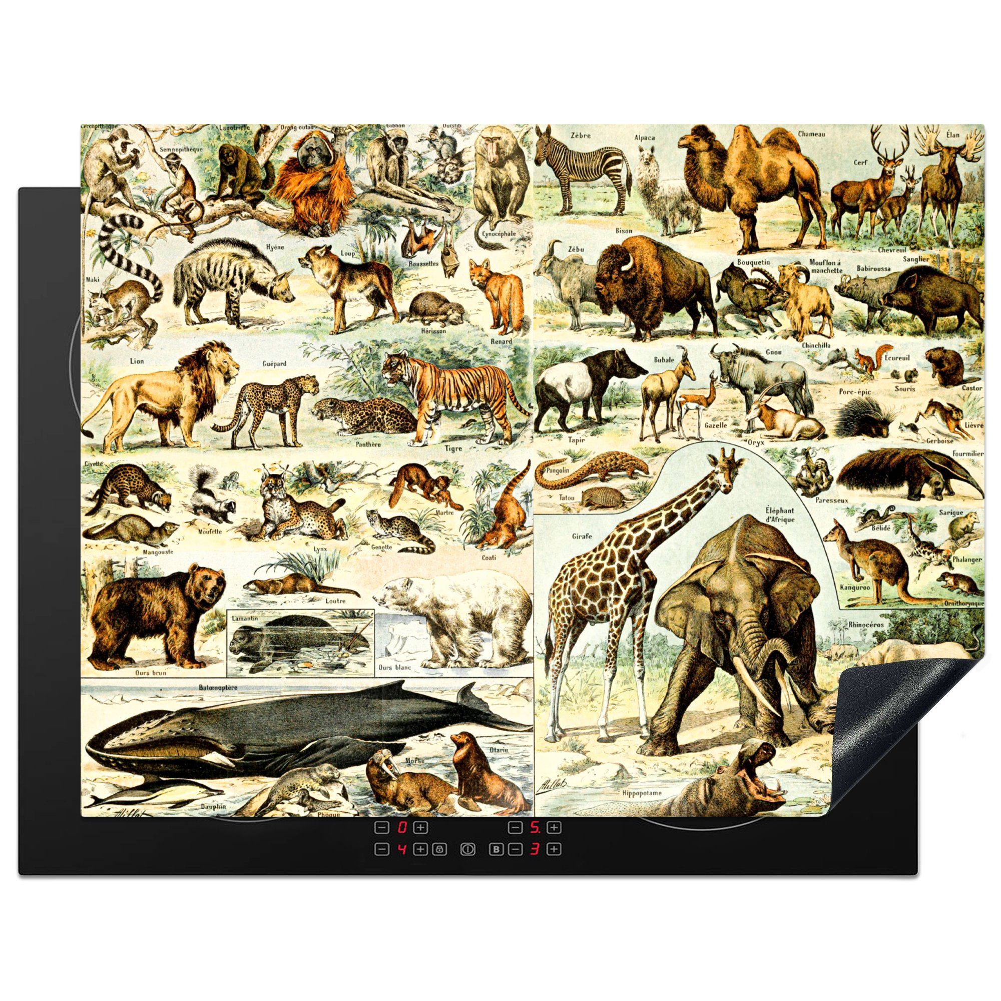 MuchoWow Herdblende-/Abdeckplatte Tiere - Giraffe - Bär, Vinyl, (1 tlg), 77x59 cm, Ceranfeldabdeckung, Arbeitsplatte für küche