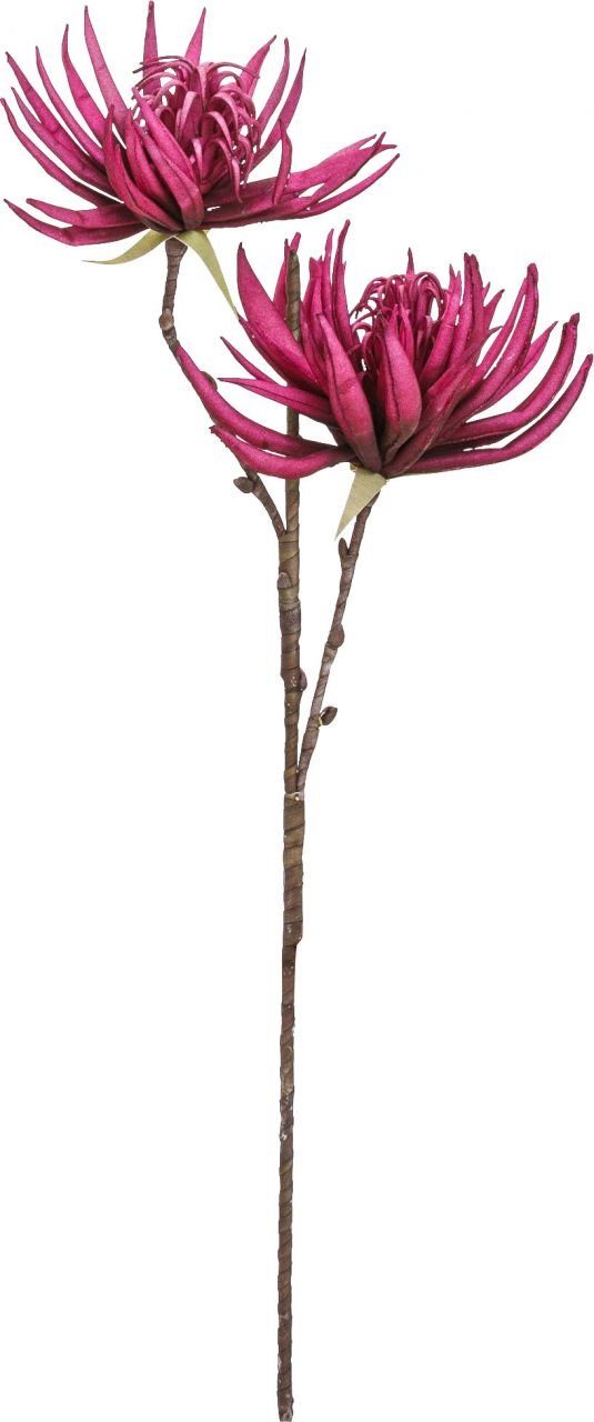 DIJK Kunstpflanze Dijk 80 cm, Kaktusblüte lila