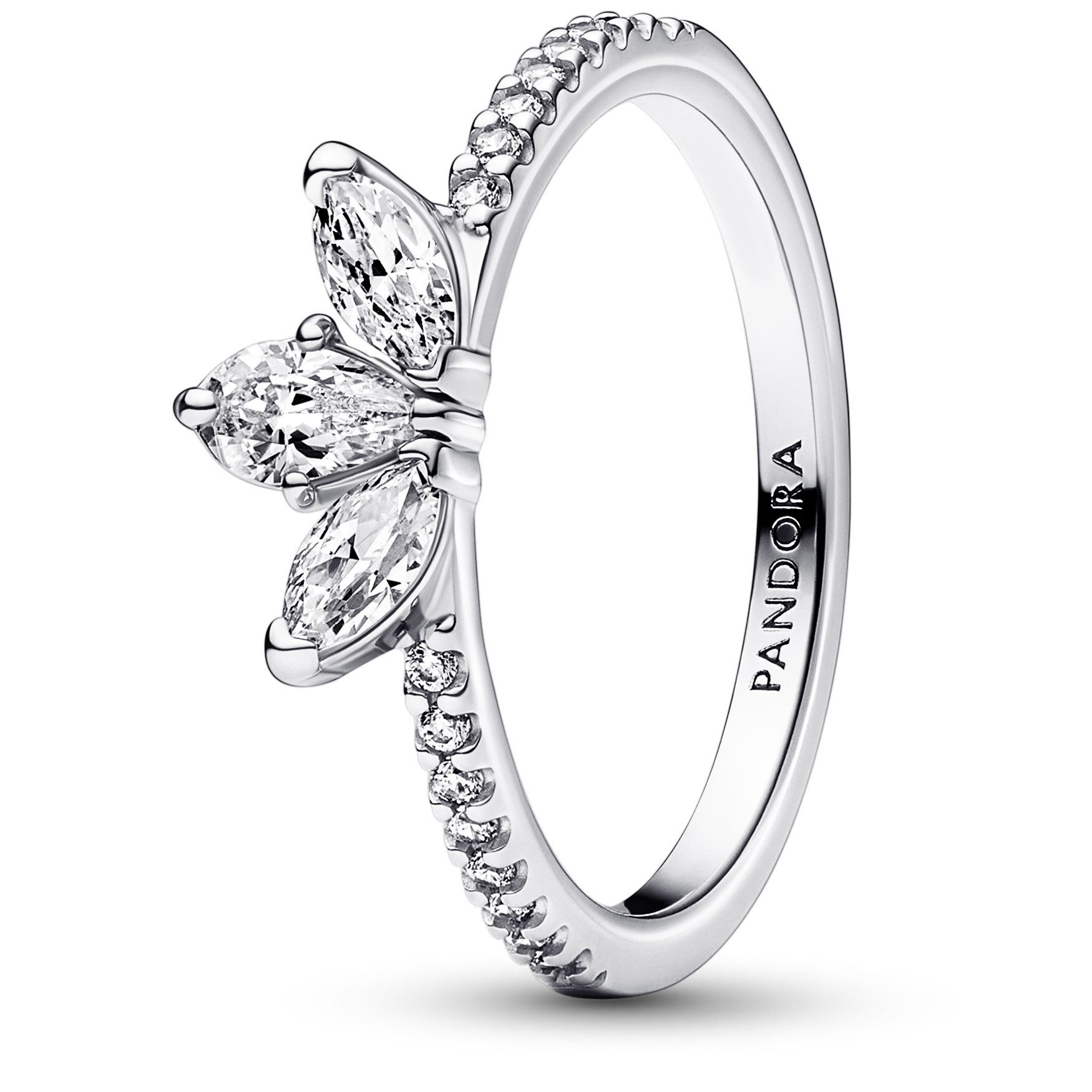 Pandora Silberring für Funkelndes Herbarium Silber günstig online kaufen