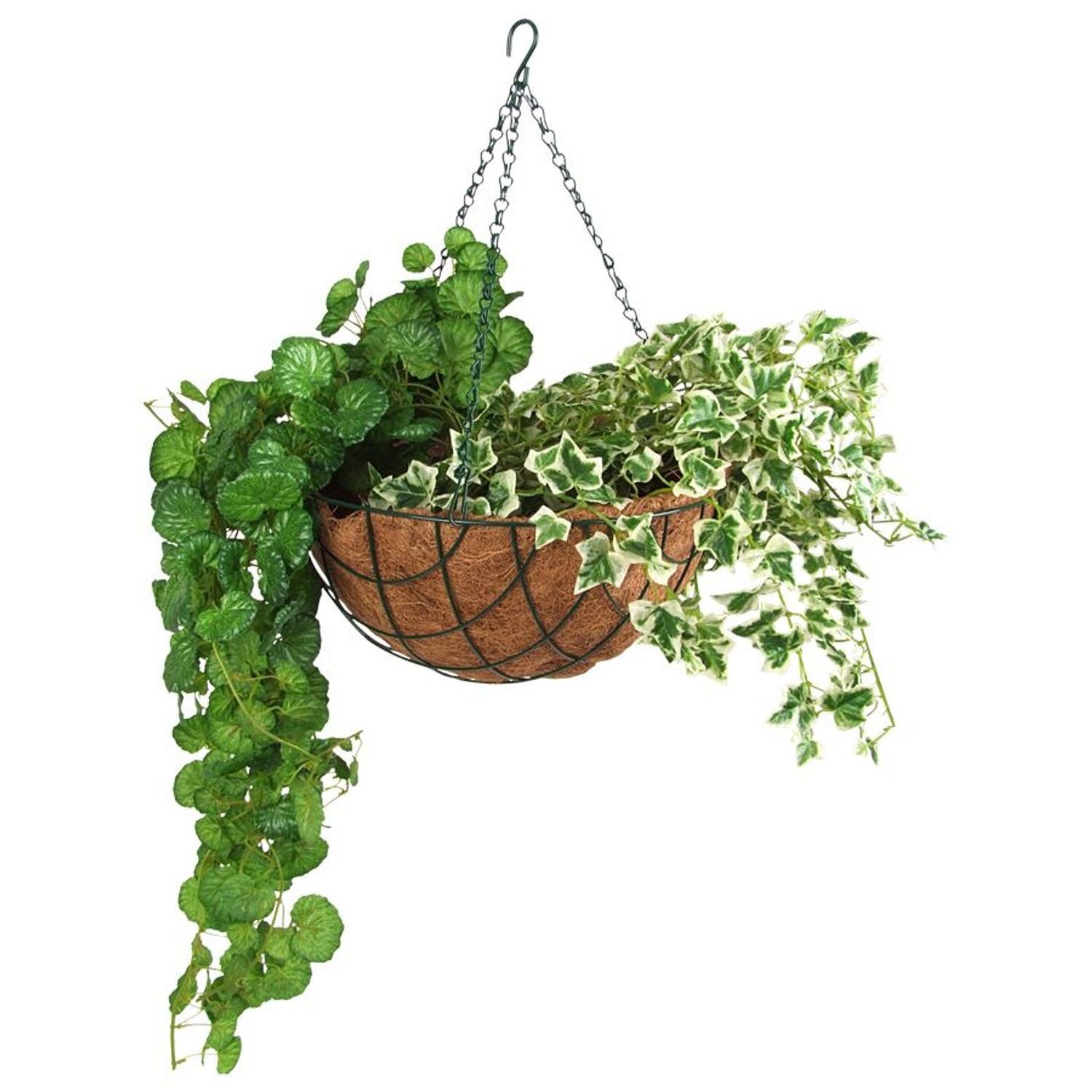 BURI Blumenampel Blumenampel 30cm mit Kokosfaser günstig online kaufen