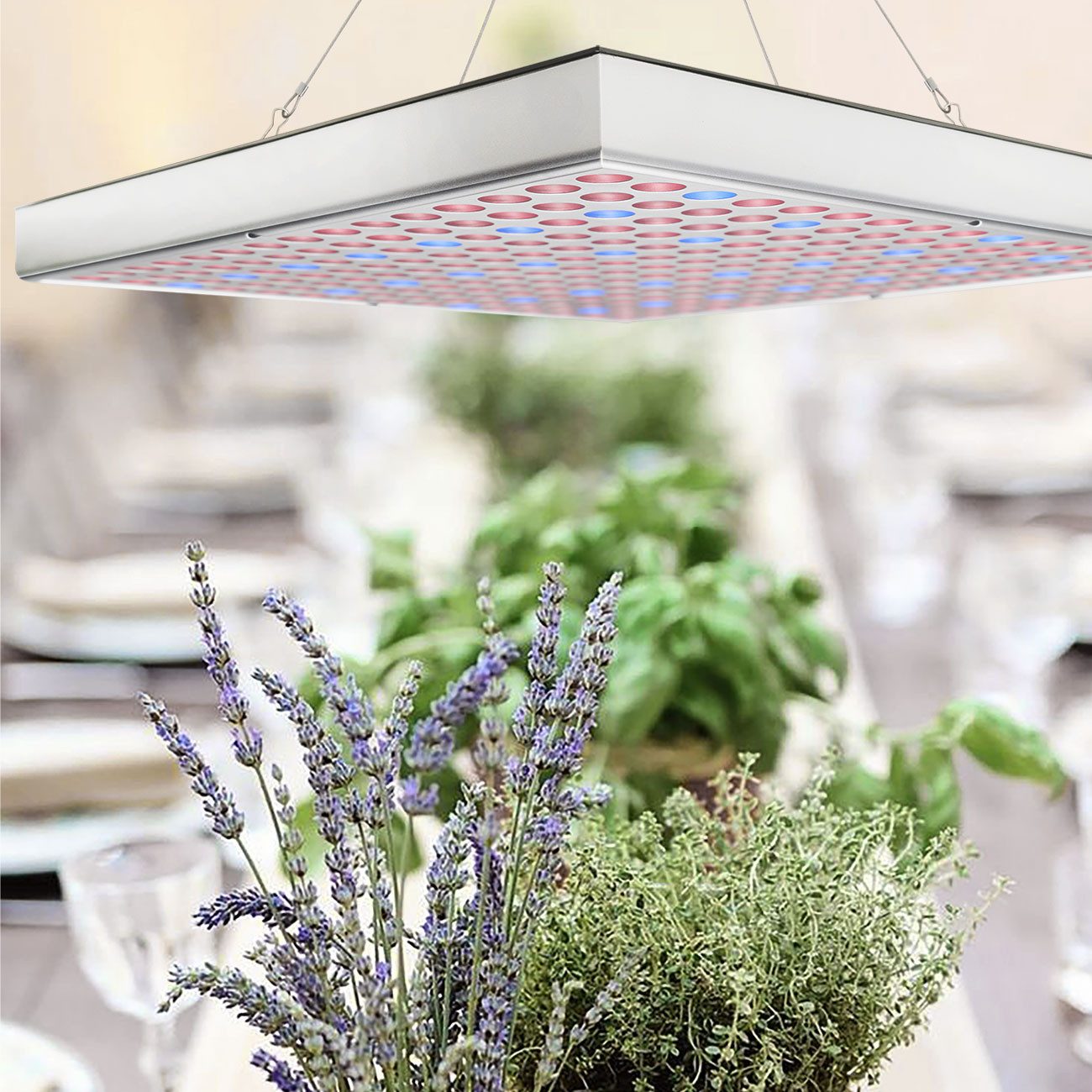 Casativo Pflanzenlampe Pflanzen-Wachstumslampe mit 225 LEDs 250 Lumen 14W 300x300x35mm, LEDs, Beleuchtungsstärke 500 Lux, 250 Lumen, Dauer 30.000 Stunden