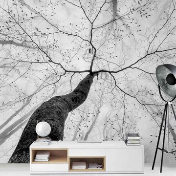 Bilderdepot24 Vliestapete Schwarz-Weiß Baumkronen Himmel 3D-Optik Natur Wald Nebel Wanddeko, Glatt, Matt, (Inklusive Gratis-Kleister oder selbstklebend), Wohnzimmer Schlafzimmer Küche Flur Fototapete Motivtapete Wandtapete