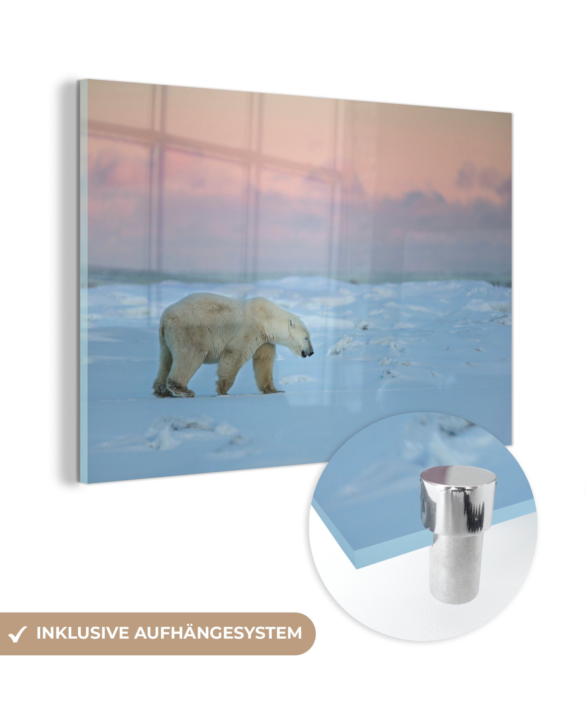 MuchoWow Acrylglasbild Eisbär auf einer Tundra, (1 St), Acrylglasbilder Wohnzimmer & Schlafzimmer