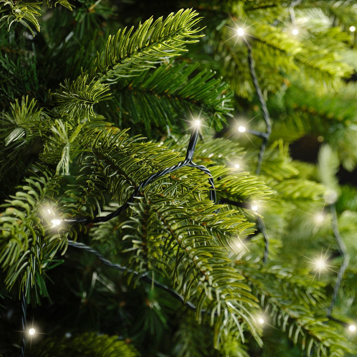 Kaemingk LED-Lichterkette Lumineo Basic Twinkle warmweiß batteriebetrieben, 8 Lichtfunktionen