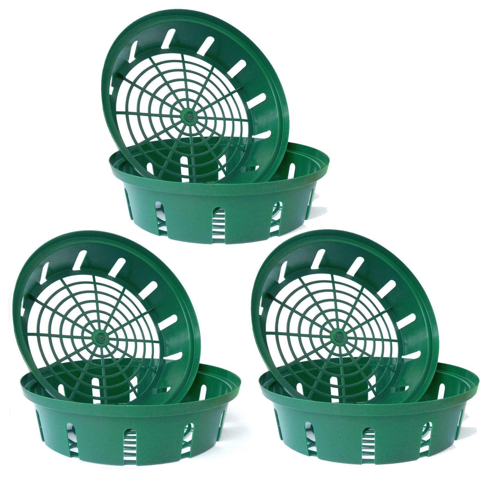 LB H&F Lilienburg Pflanzschale 6 Stück Pflanzkorb Pflanzschale Blumenzwiebe günstig online kaufen