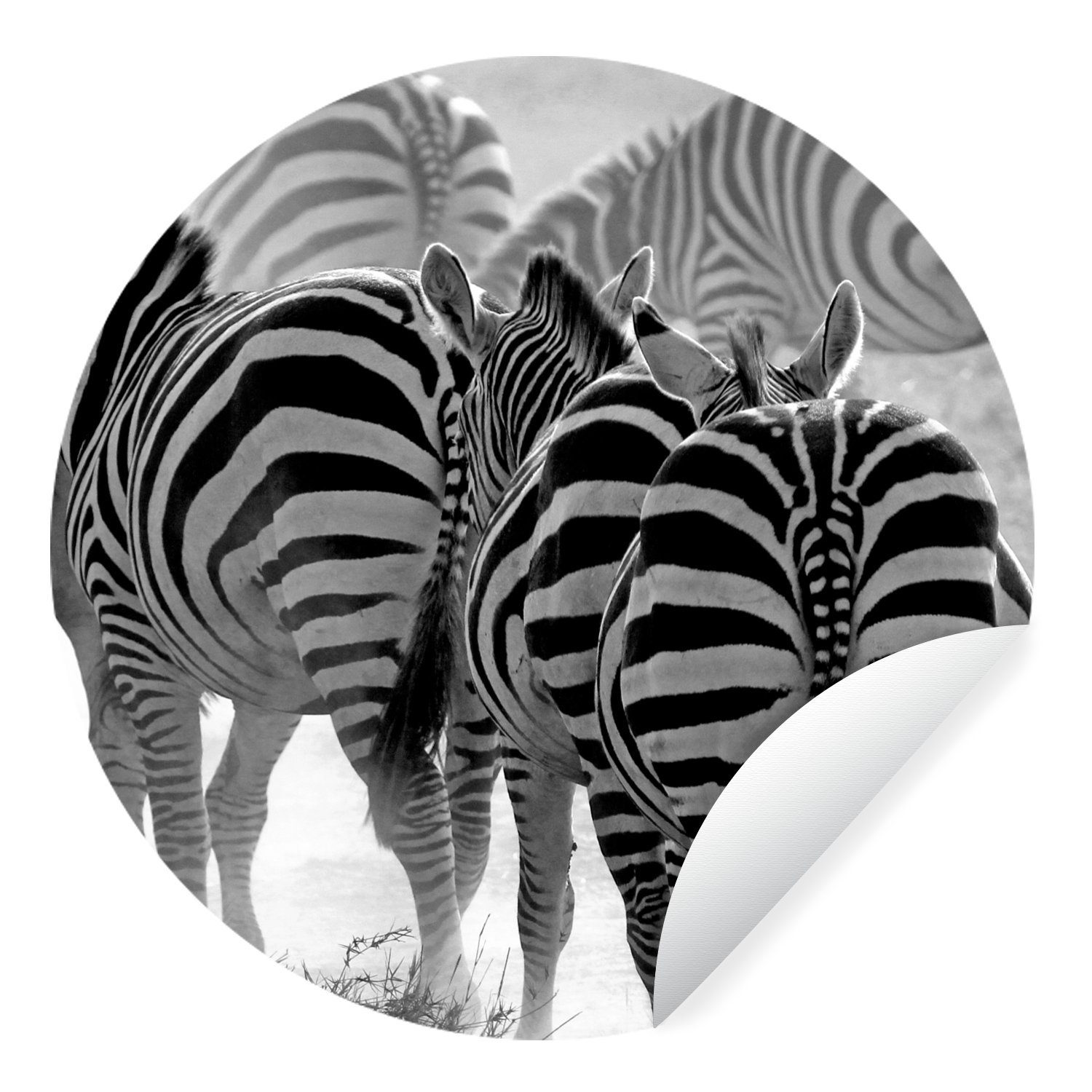 Zebras Wohnzimmer Tapetenaufkleber, Wandsticker Rund, Kinderzimmer, (1 MuchoWow für St), Laufende Tapetenkreis