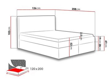 MIRJAN24 Boxspringbett Cosmo (Matratze, Topper und Kopfteil), B: 120/140/160/180/200 cm, zwei Bettkästen für die Bettwäsche