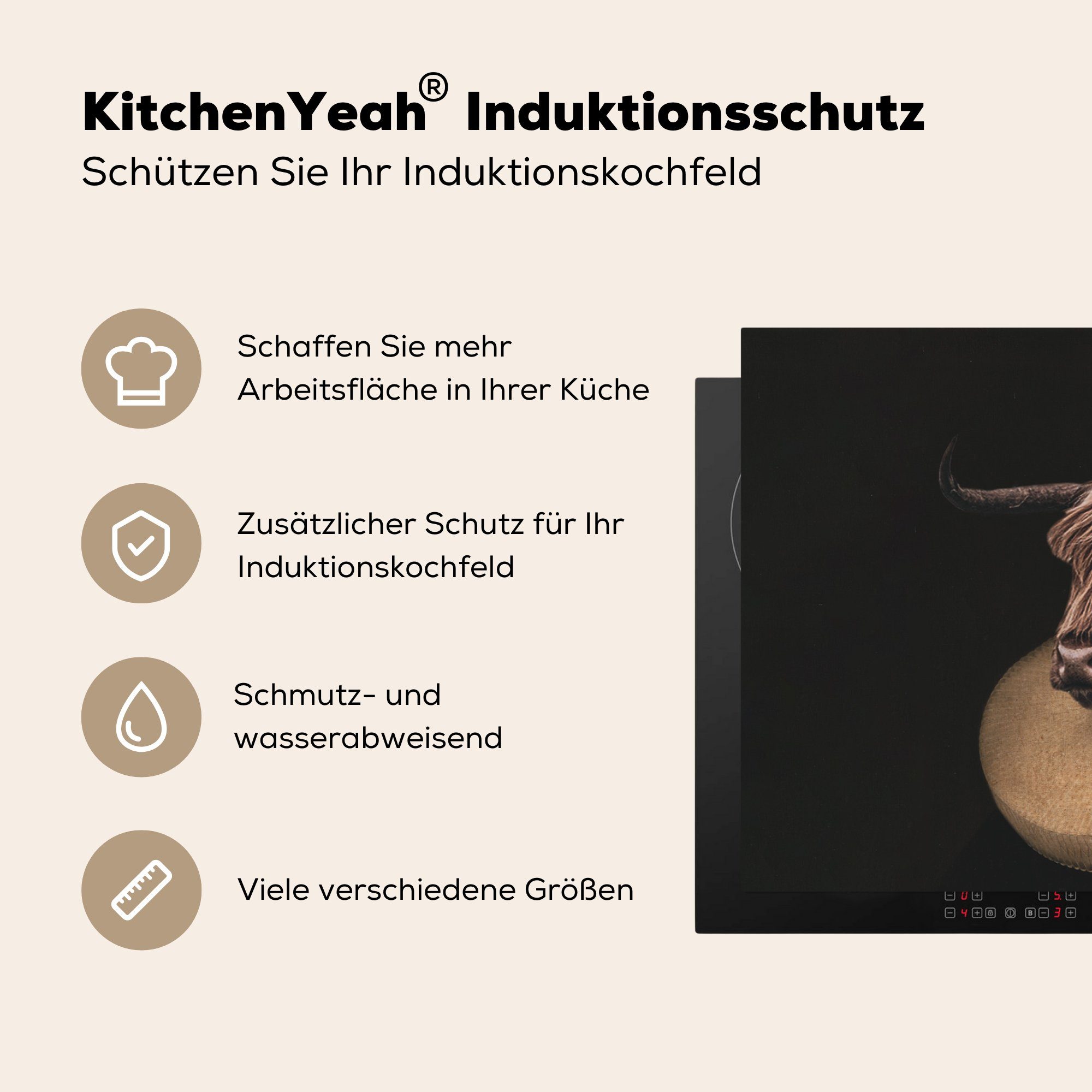 Schottische - Highlander MuchoWow Schutz Vinyl, Alte küche, die 81x52 cm, Induktionskochfeld Kunst, Ceranfeldabdeckung (1 Herdblende-/Abdeckplatte Meister tlg), für -
