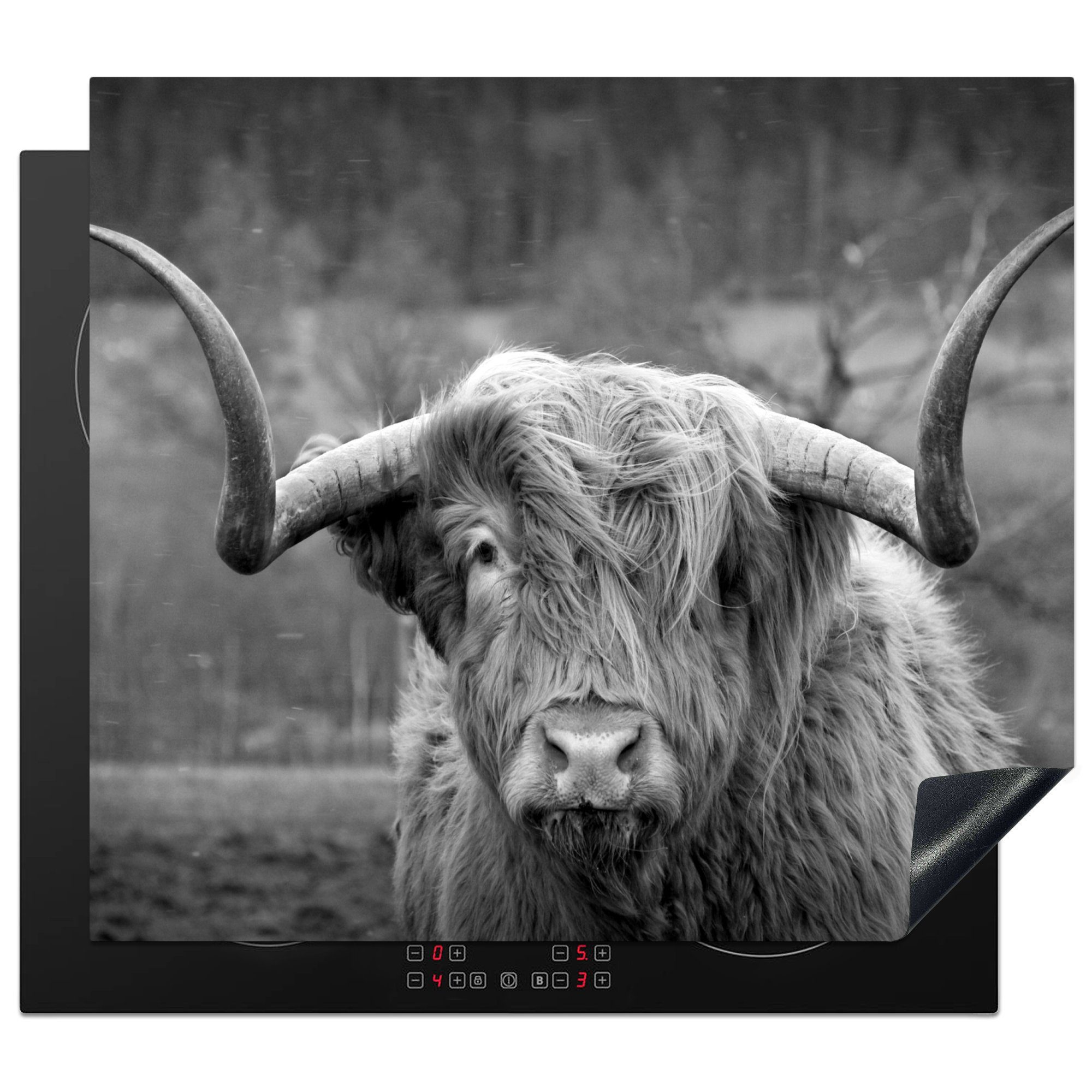 MuchoWow Herdblende-/Abdeckplatte Schottischer Highlander - Kuhkopf - Landschaft - Natur - Kuh, Vinyl, (1 tlg), 58x51 cm, Küchen Dekoration für Induktionsherd, Induktionskochfeld