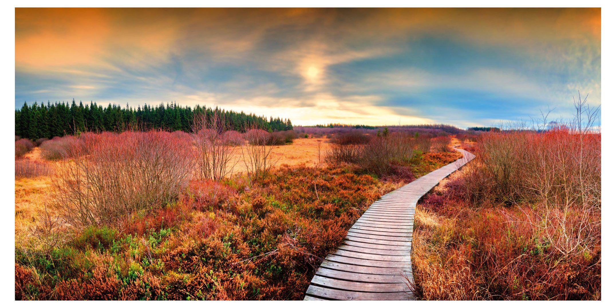 postkarten-universum.de Postkarte Panorama-Postkarte Faszination Erde "Moorlandschaft", Erwachsene