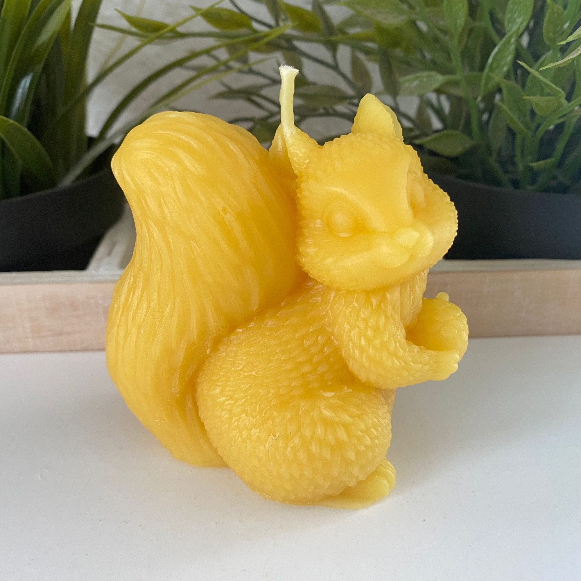Aspinaworld Bienenwachskerze Eichhörnchen Kerze sitzend 8 cm natur – Eichel in beiden Pfoten (1-tlg)