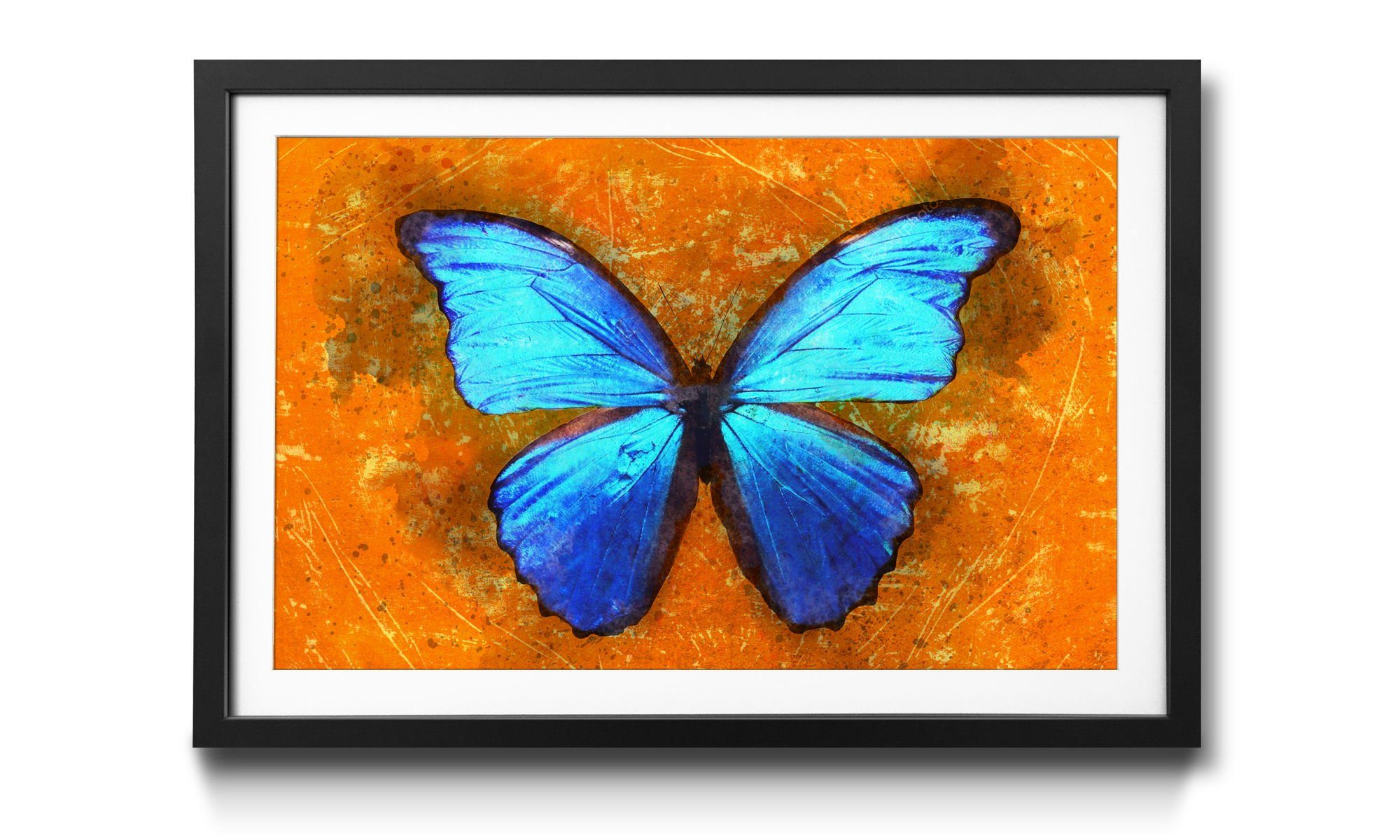 WandbilderXXL Bild mit Rahmen Blue Wonder, Schmetterling, Wandbild, in 4 Größen erhältlich