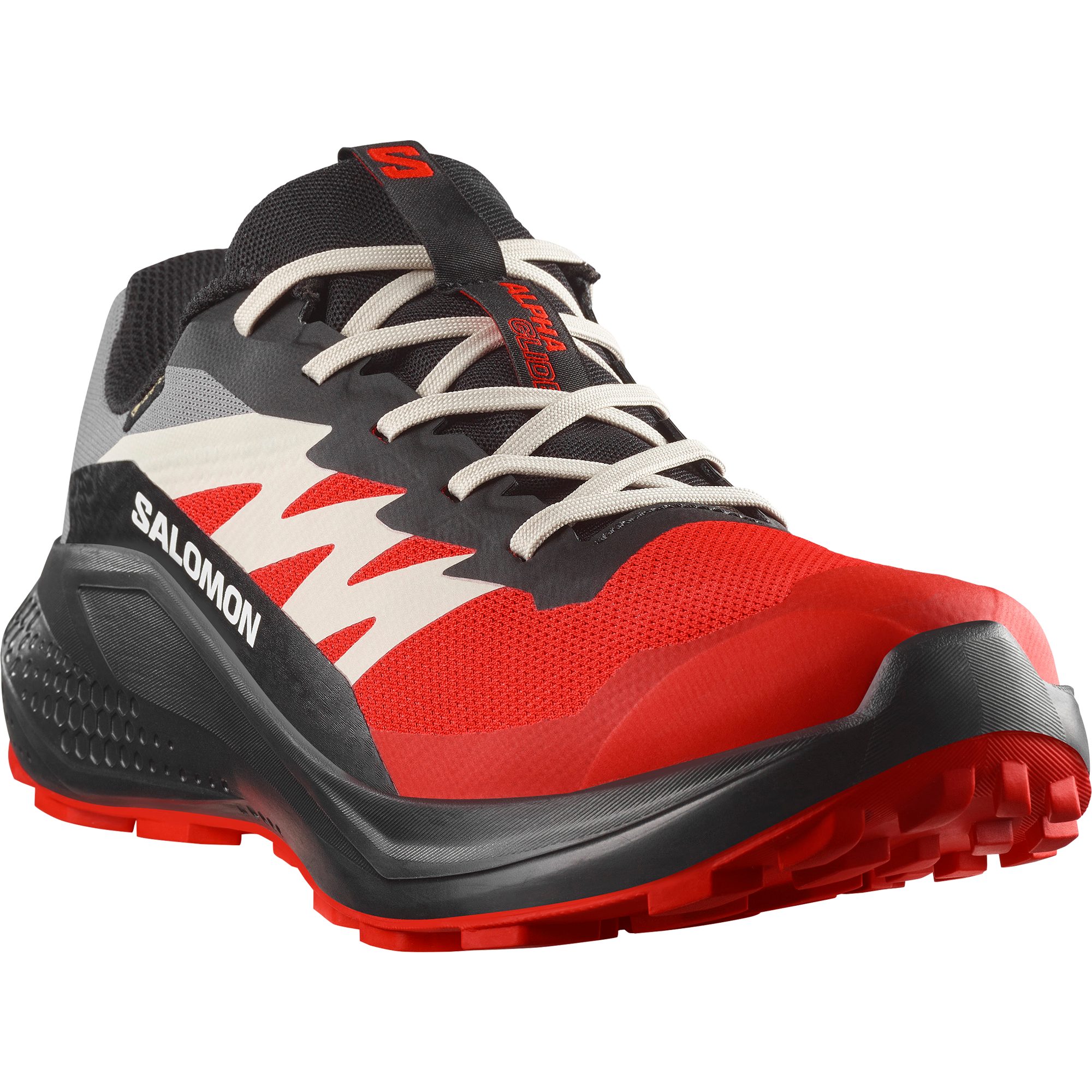 Salomon ALPHAGLIDE GORE-TEX Laufschuh wasserdicht günstig online kaufen