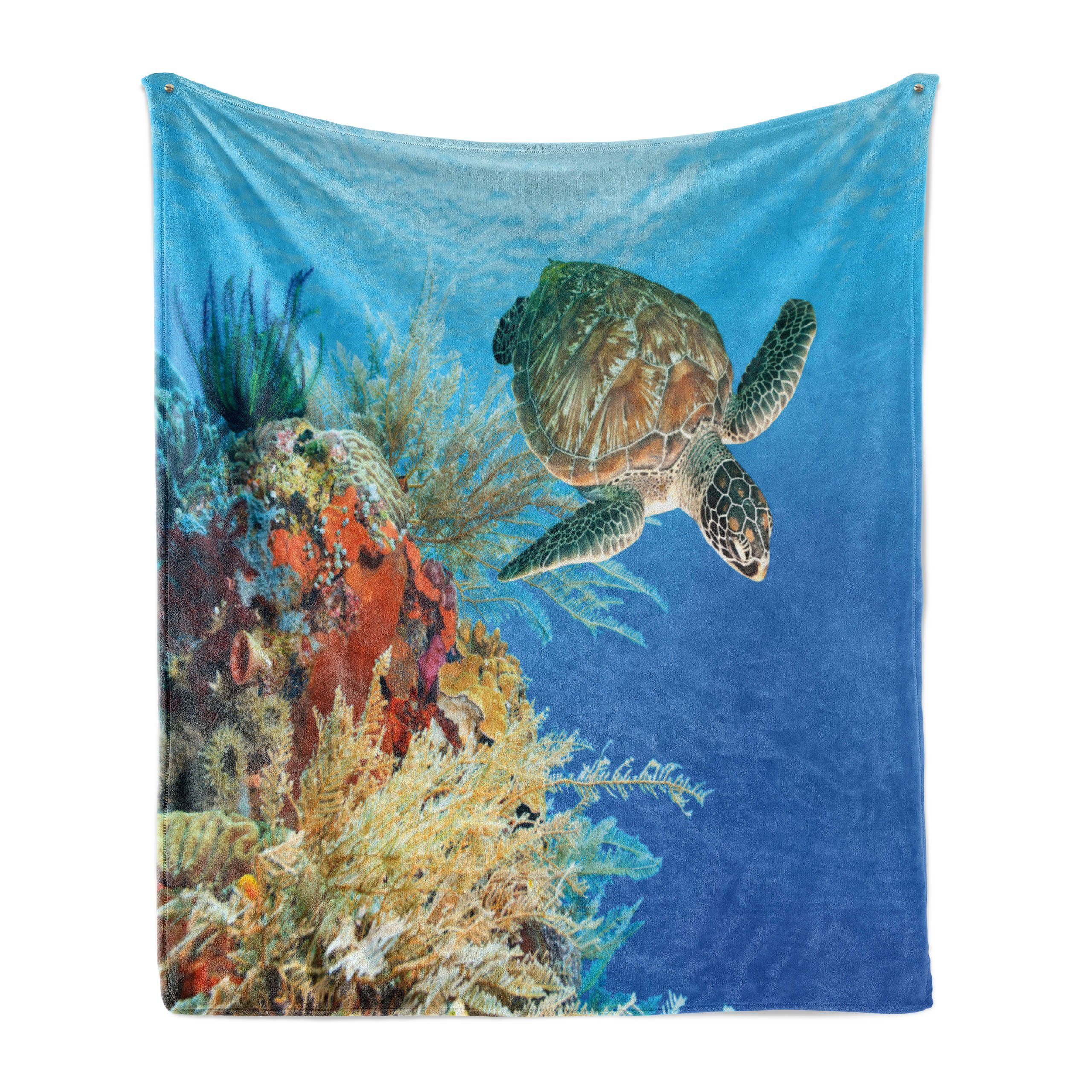 Wohndecke Gemütlicher Plüsch für den Innen- und Außenbereich, Abakuhaus, Unterwasser- Exotische Schildkröte Coral