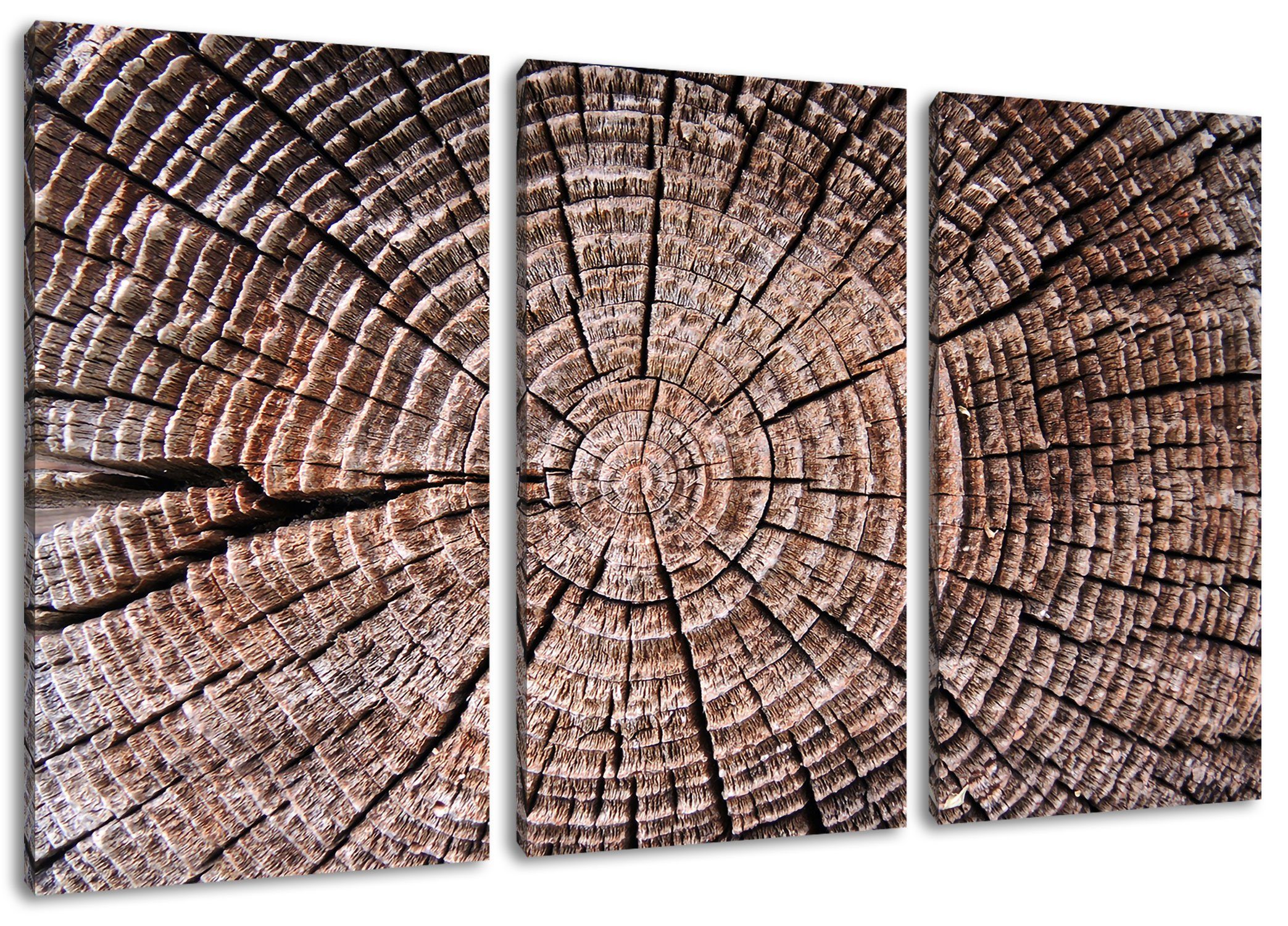 Pixxprint Leinwandbild Baumstamm Jahresringe, Baumstamm Jahresringe Zackenaufhänger bespannt, (120x80cm) St), Leinwandbild (1 fertig 3Teiler inkl