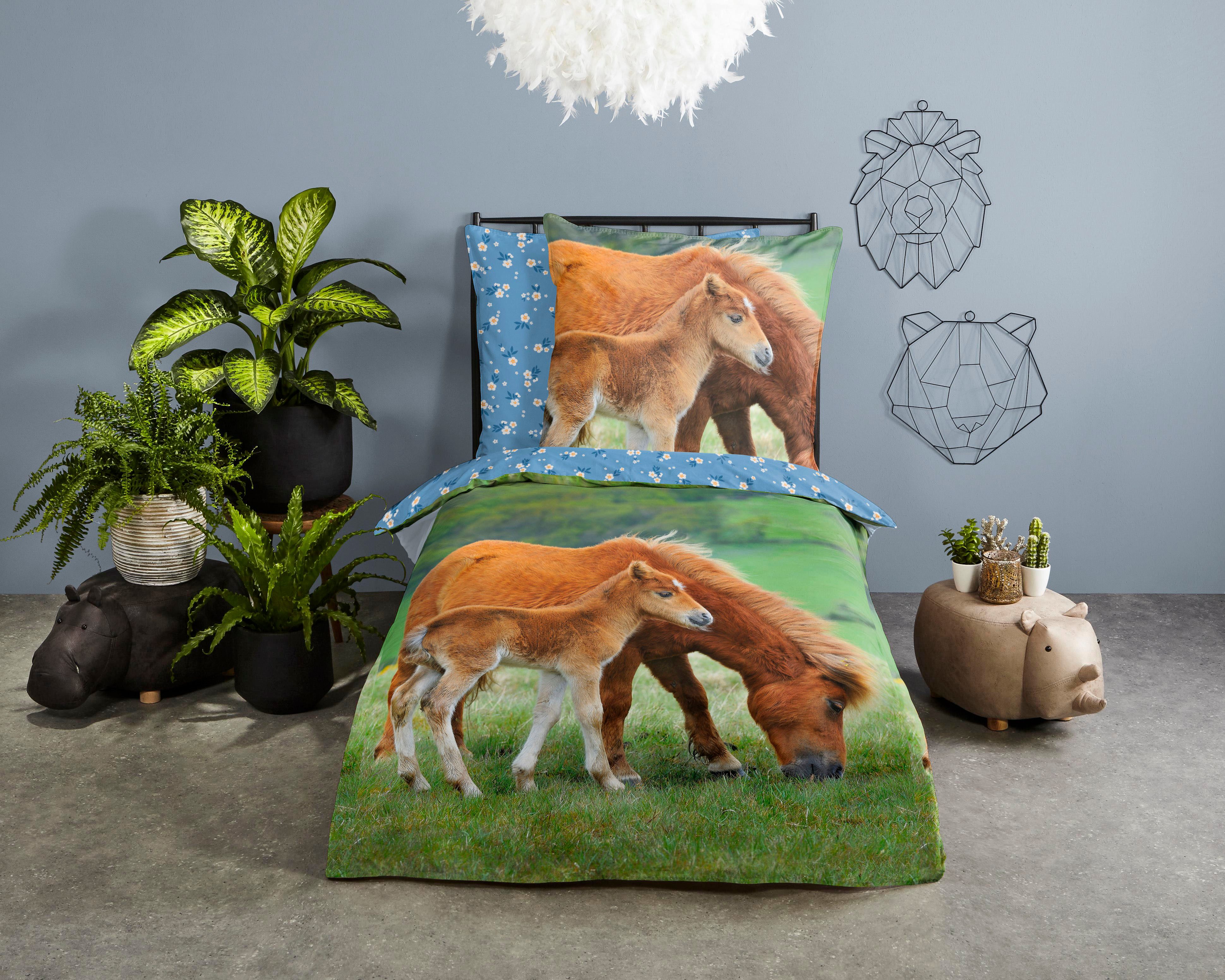 good morning Kinderbettwäsche Regine, Renforcé, 2 teilig, Baumwolle, 135x200, Reißverschluss, Wendeoptik, Kind, Mädchen, Pferd