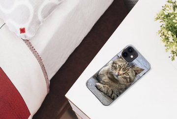 MuchoWow Handyhülle Katze - Tier - Braun - Mädchen - Kinder - Jungen - Kind, Handyhülle Apple iPhone 12, Smartphone-Bumper, Print, Handy
