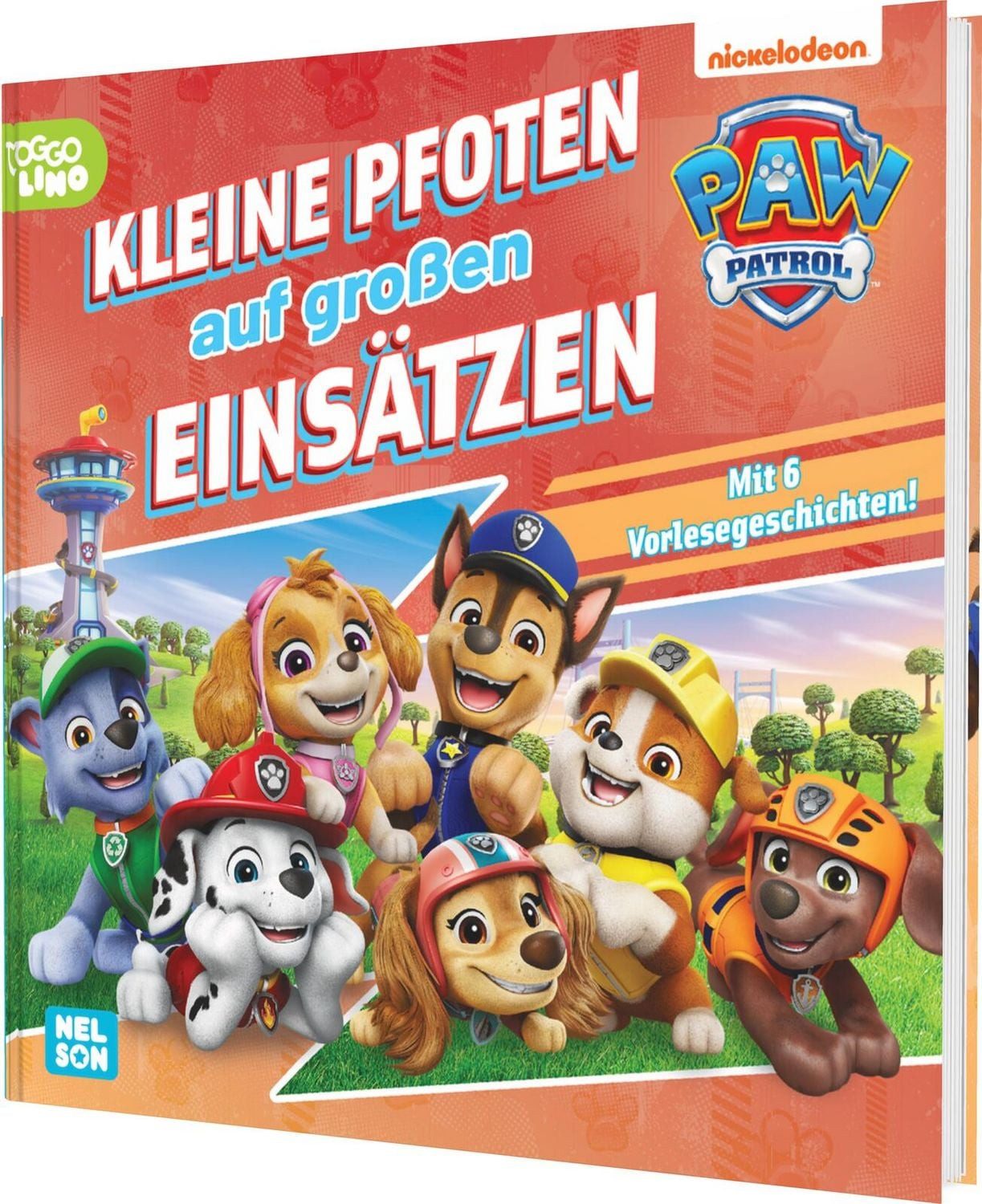 PAW Patrol Geschichtenbuch: Kleine Pfoten auf großen Einsätzen / diverse