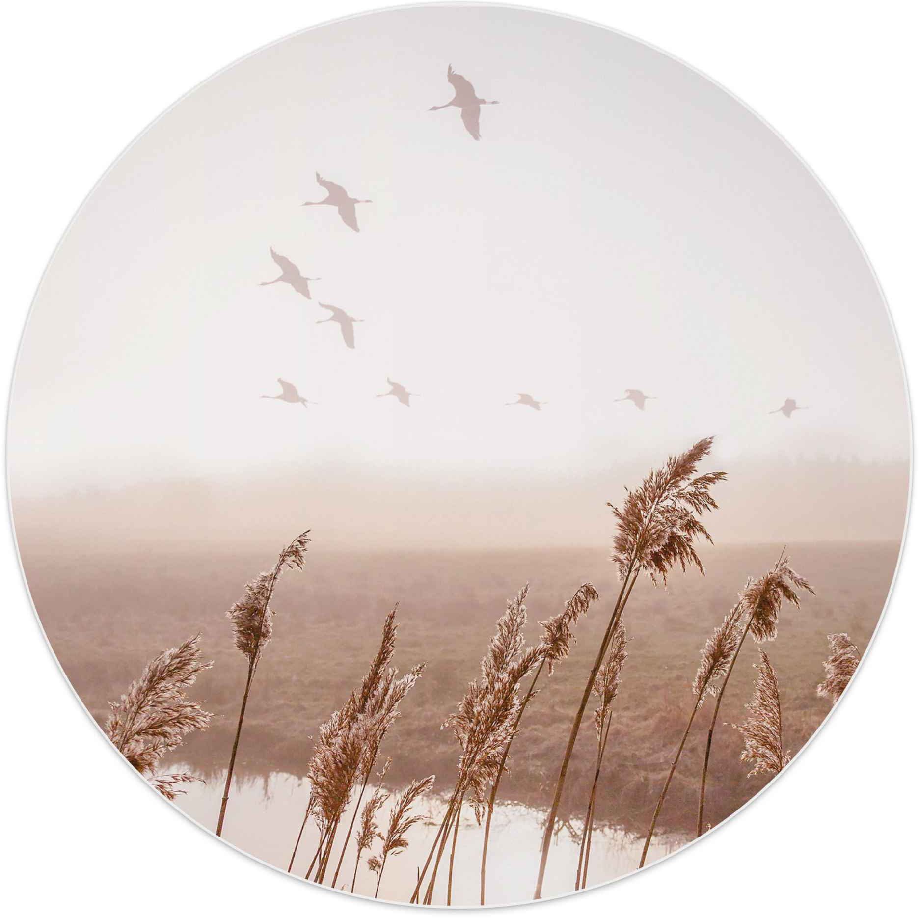 Reinders! Wandbild Wandbild Fliegende Gänse Sommer - Himmel - Pampasgras - Horizont, Vögel (1 St)