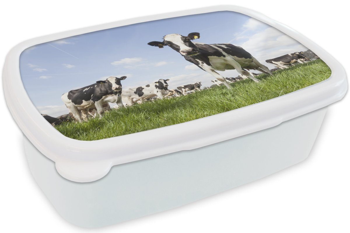 Erwachsene, und MuchoWow Tiere Brotbox weiß Kinder - (2-tlg), Sonne - Bauernhof, - für Jungs Kunststoff, Lunchbox Kühe Gras - und Mädchen für Brotdose,