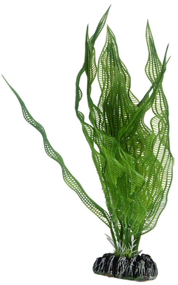 Aquariendeko Hobby Aponogeton künstliche Pflanze für das Aquarium 25 cm