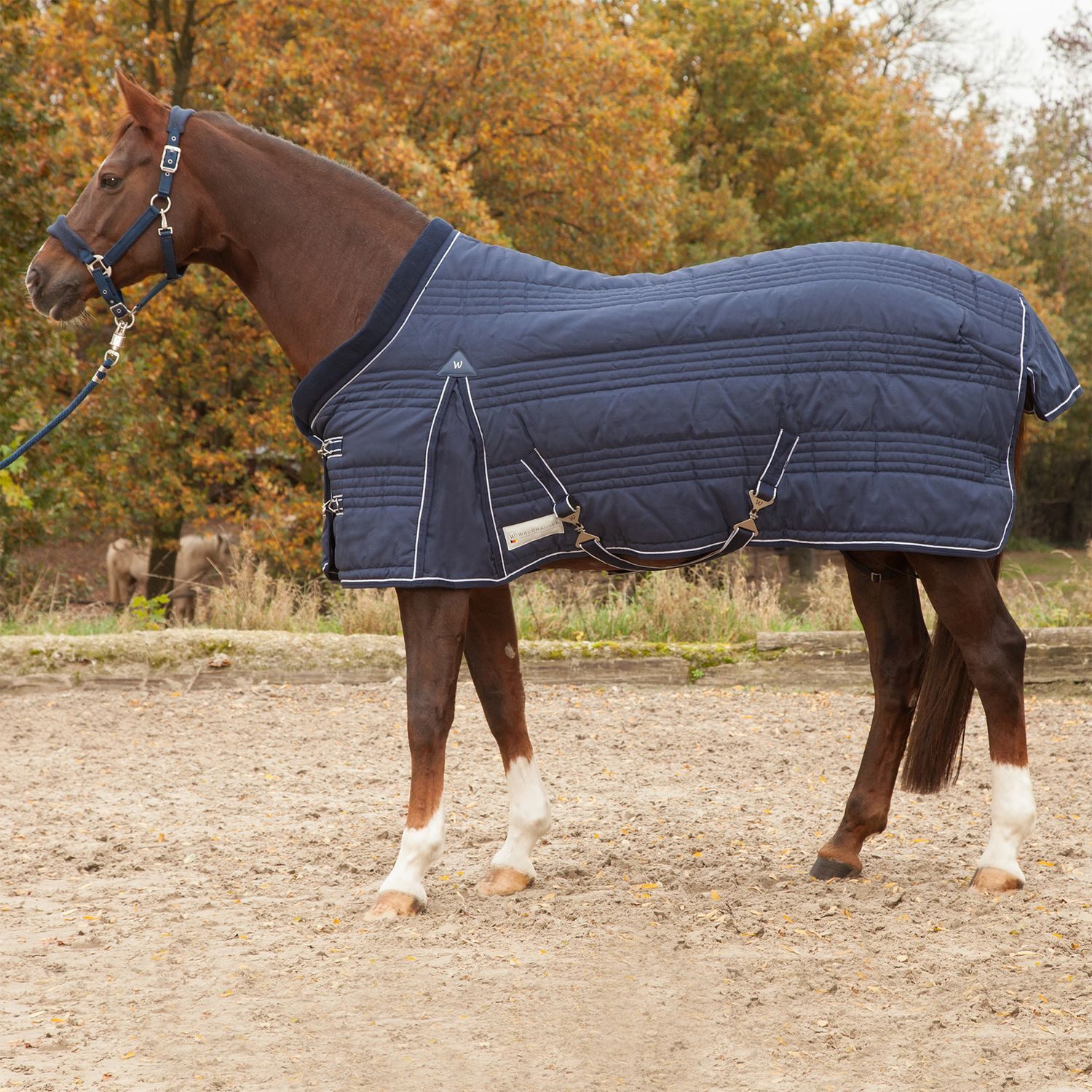Pferde-Stalldecke Waldhausen Stalldecke Comfort Line 300 g