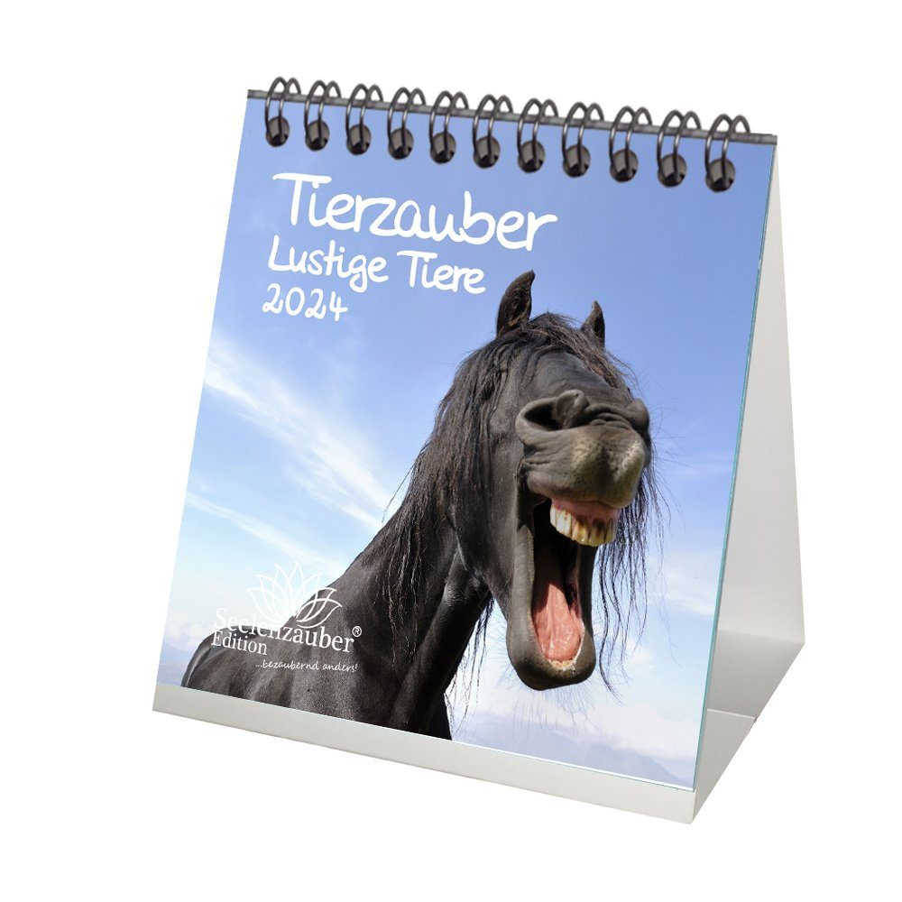 Seelenzauber Tischkalender Tierzauber lustige Tiere Kalender für 2024  Format 10cm x 10cm Lustige
