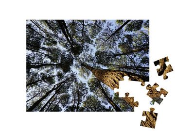 puzzleYOU Puzzle Hohe alte Bäume im Kiefernwald Mangunan, 48 Puzzleteile, puzzleYOU-Kollektionen