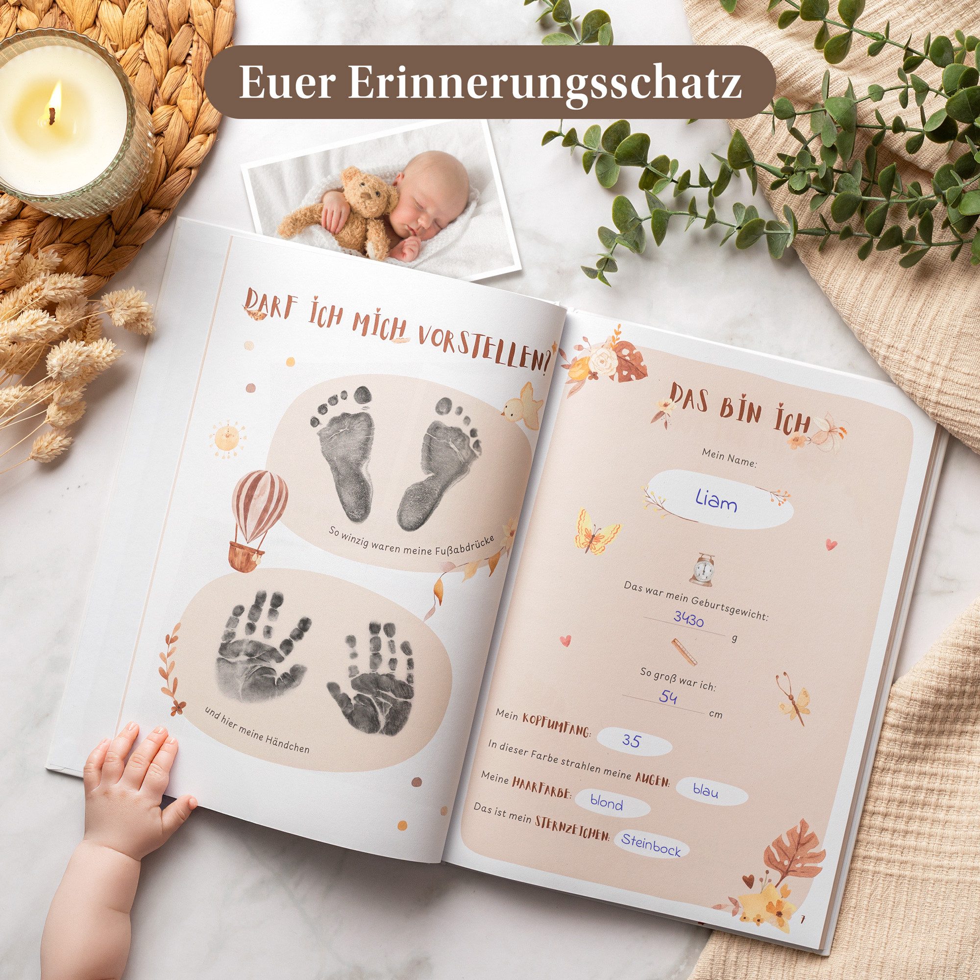 Eulentaler Tagebuch I Babyalbum I Mein erstes Jahr I Von Pädagogen gestaltet I handgemalte Illustrationen, viel Platz für Fotos & Erinnerungen, 84 Seiten
