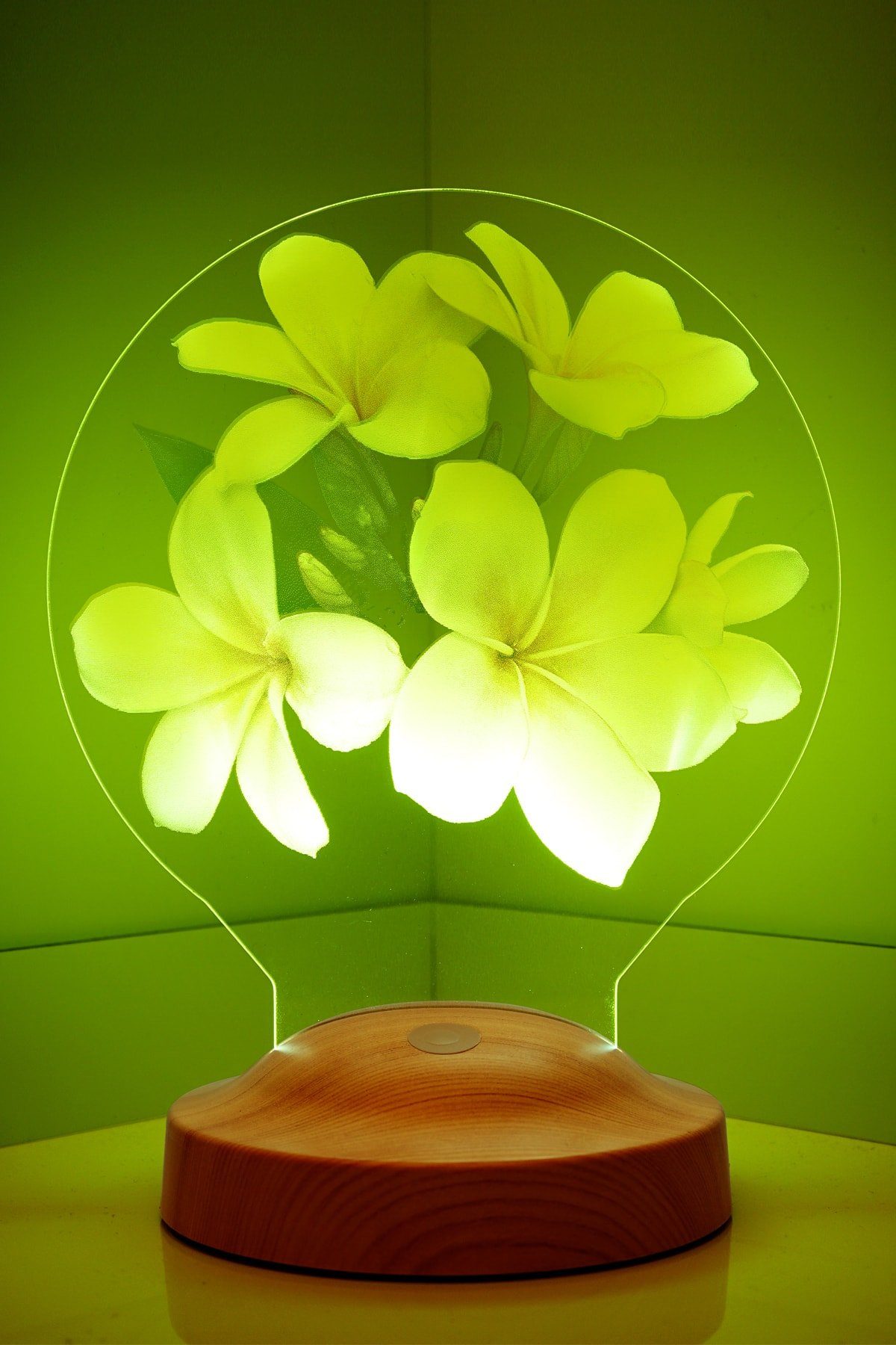 Lampe mehrfarbige Led Nachttischlampe Geschenkelampe LED LED LED 3D Lampe integriert, 6 Farben, Mutter, fest Plumeria für Geschenk