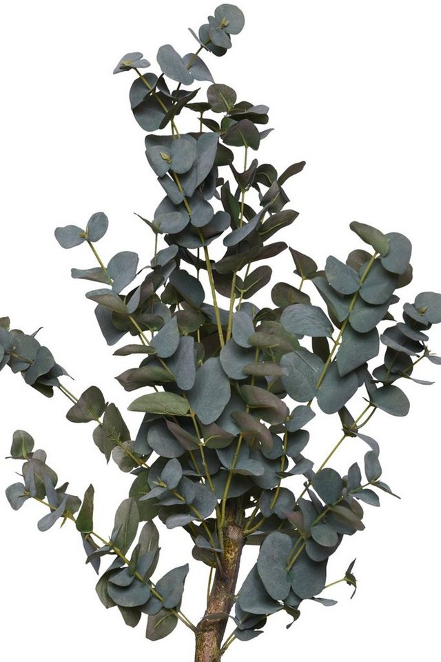 Kunstpflanze Kunstpflanze Eukalyptus im Topf EUKALY - 20x90 cm, VIVANNO,  Höhe 90 cm
