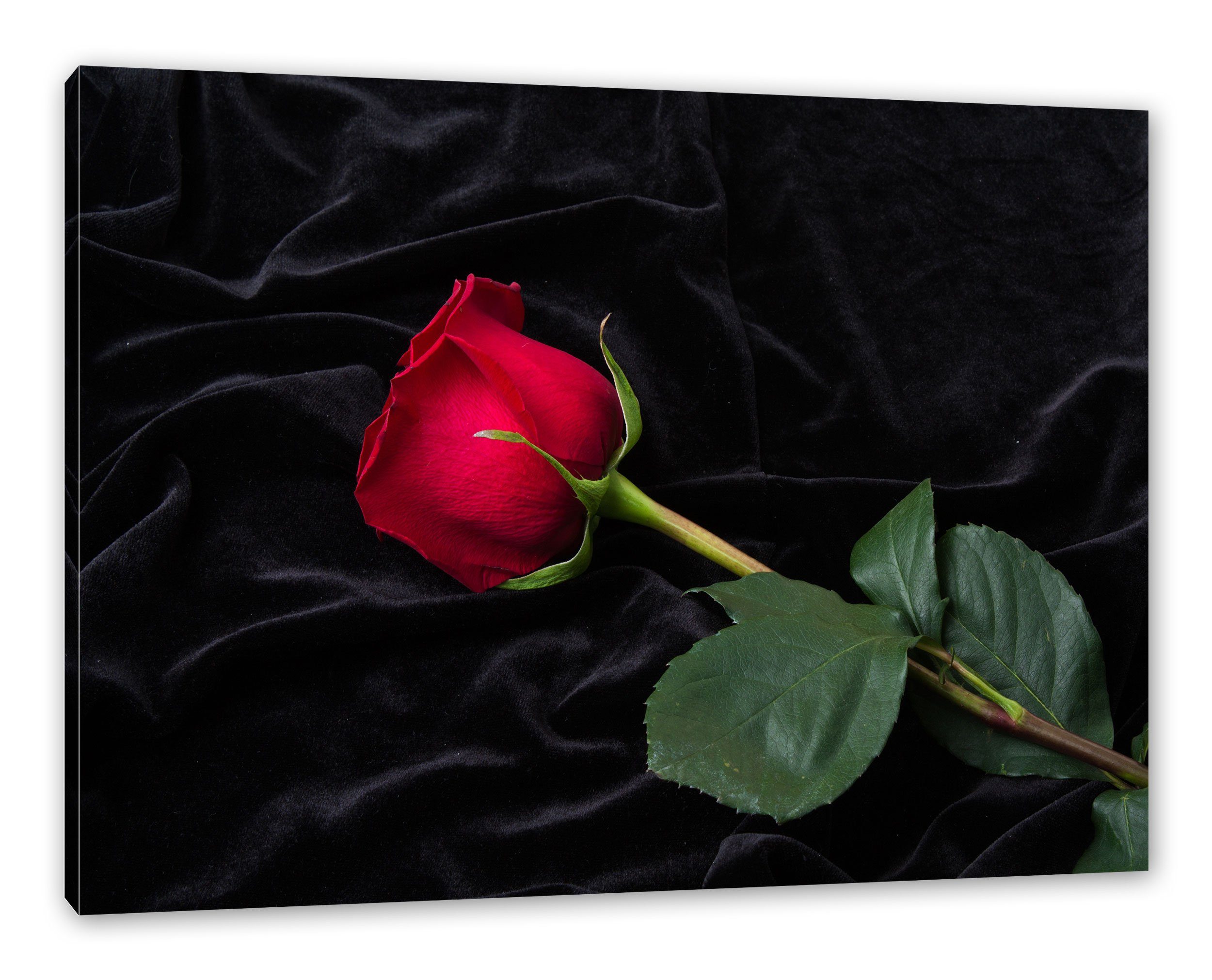 Pixxprint Leinwandbild Rose, Rose (1 St), Leinwandbild fertig bespannt, inkl. Zackenaufhänger | Leinwandbilder