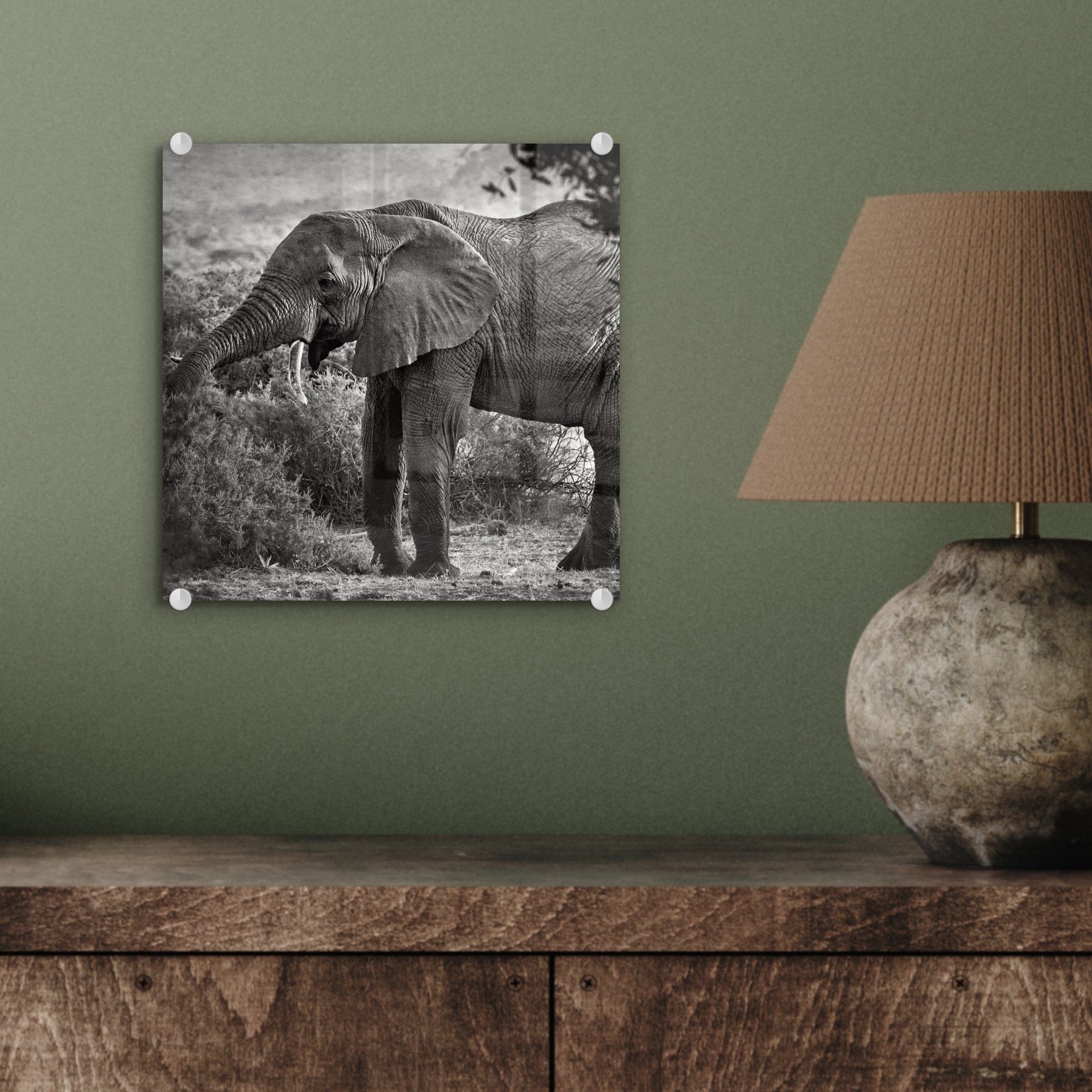 MuchoWow Acrylglasbild Elefant Glasbilder auf - Tiere - Wanddekoration auf Bilder St), - - Foto - Schwarz Weiß, - (1 Glas Glas - Bäume Wandbild