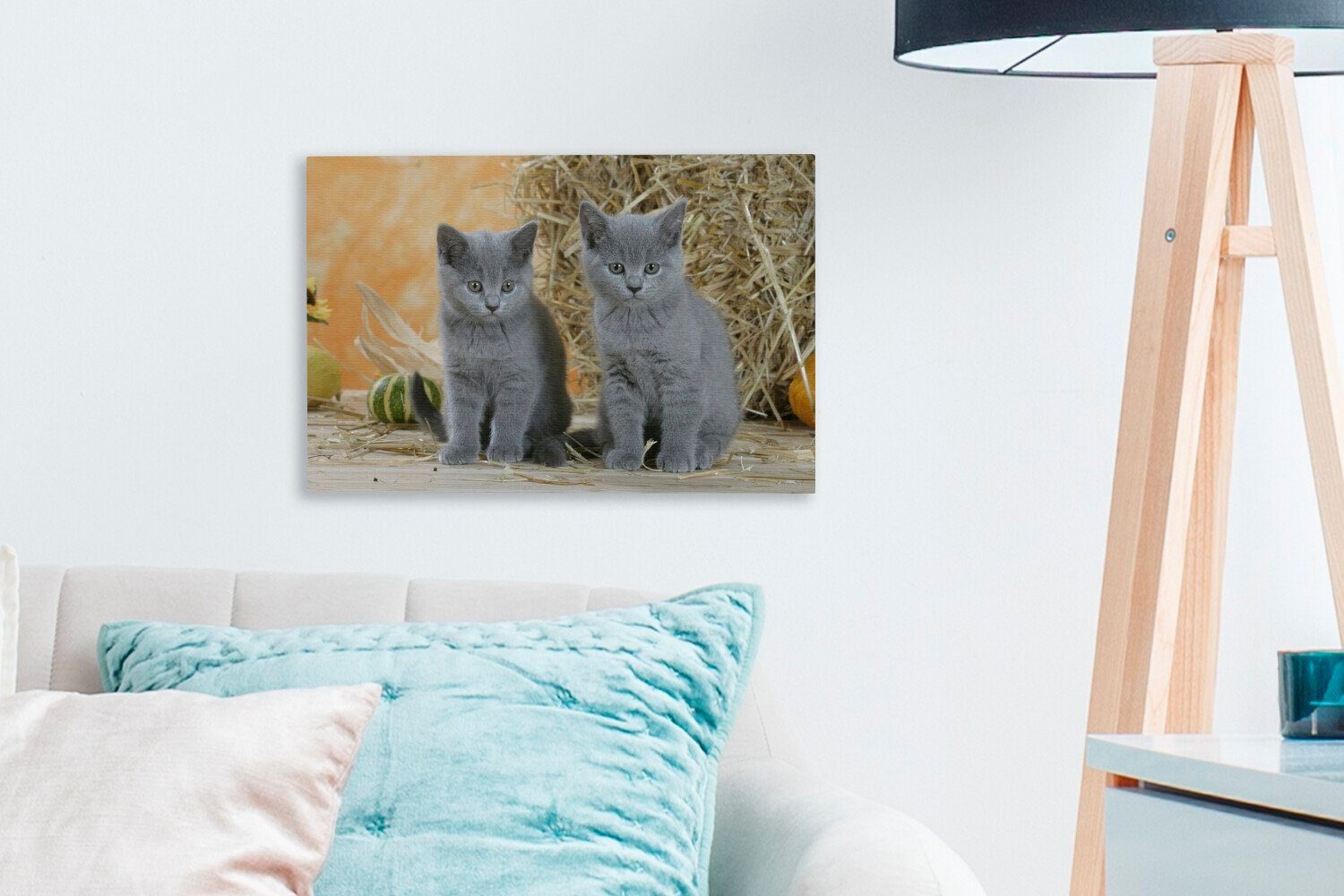 OneMillionCanvasses® Leinwandbild Zwei Britisch-Kurzhaar-Kätzchen mit cm Aufhängefertig, Wanddeko, (1 Wandbild Hintergrund, Heu im 30x20 Leinwandbilder, St)