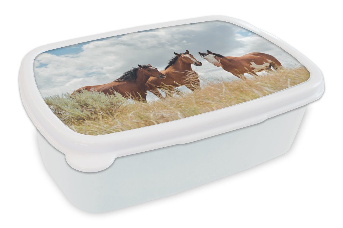 MuchoWow Lunchbox Drei Mustang-Pferde schauen in die Kamera, Kunststoff, (2-tlg), Brotbox für Kinder und Erwachsene, Brotdose, für Jungs und Mädchen weiß