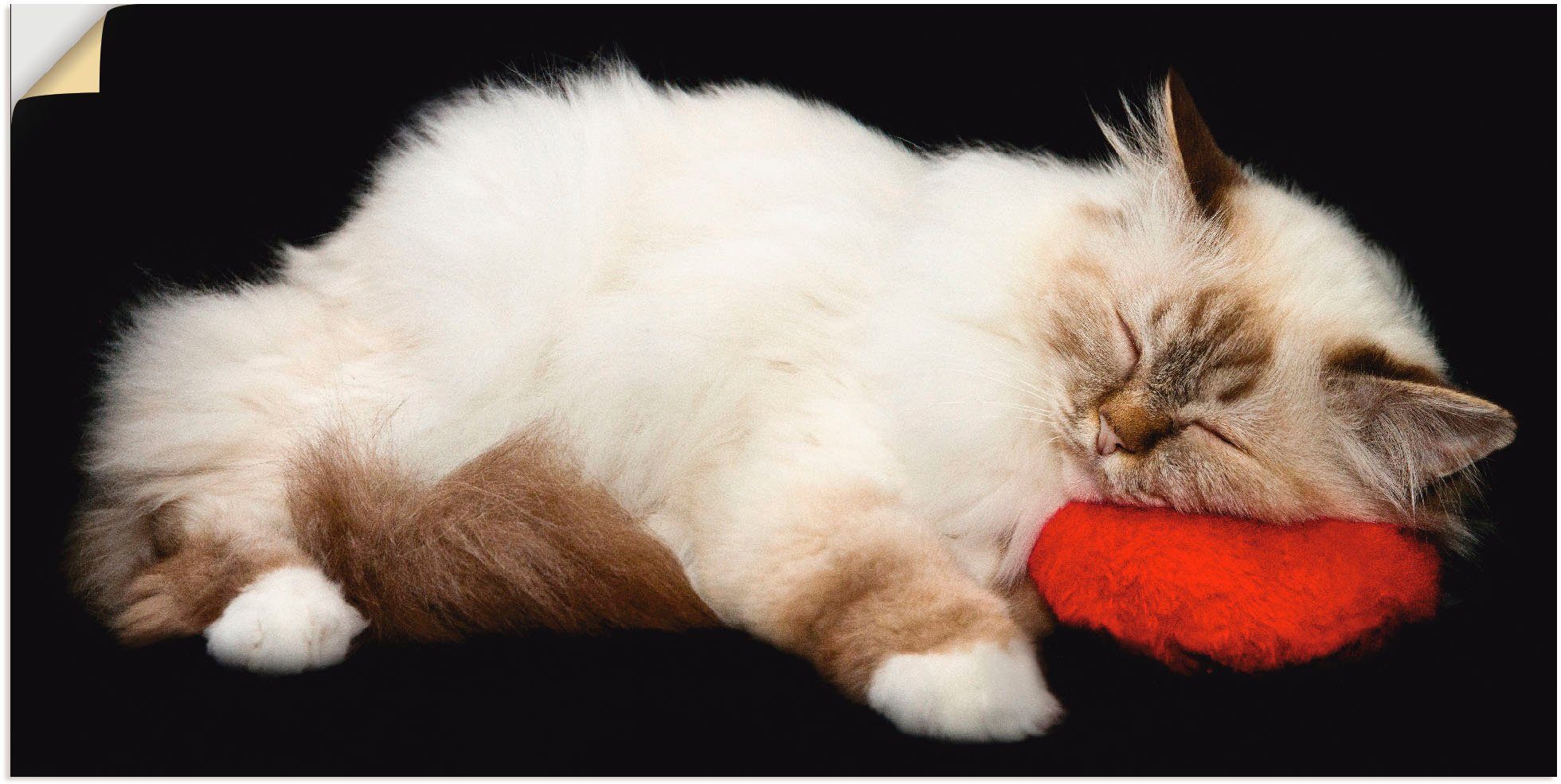 Artland Wandbild Müde Katze, Haustiere (1 St), als Alubild, Leinwandbild, Wandaufkleber oder Poster in versch. Größen